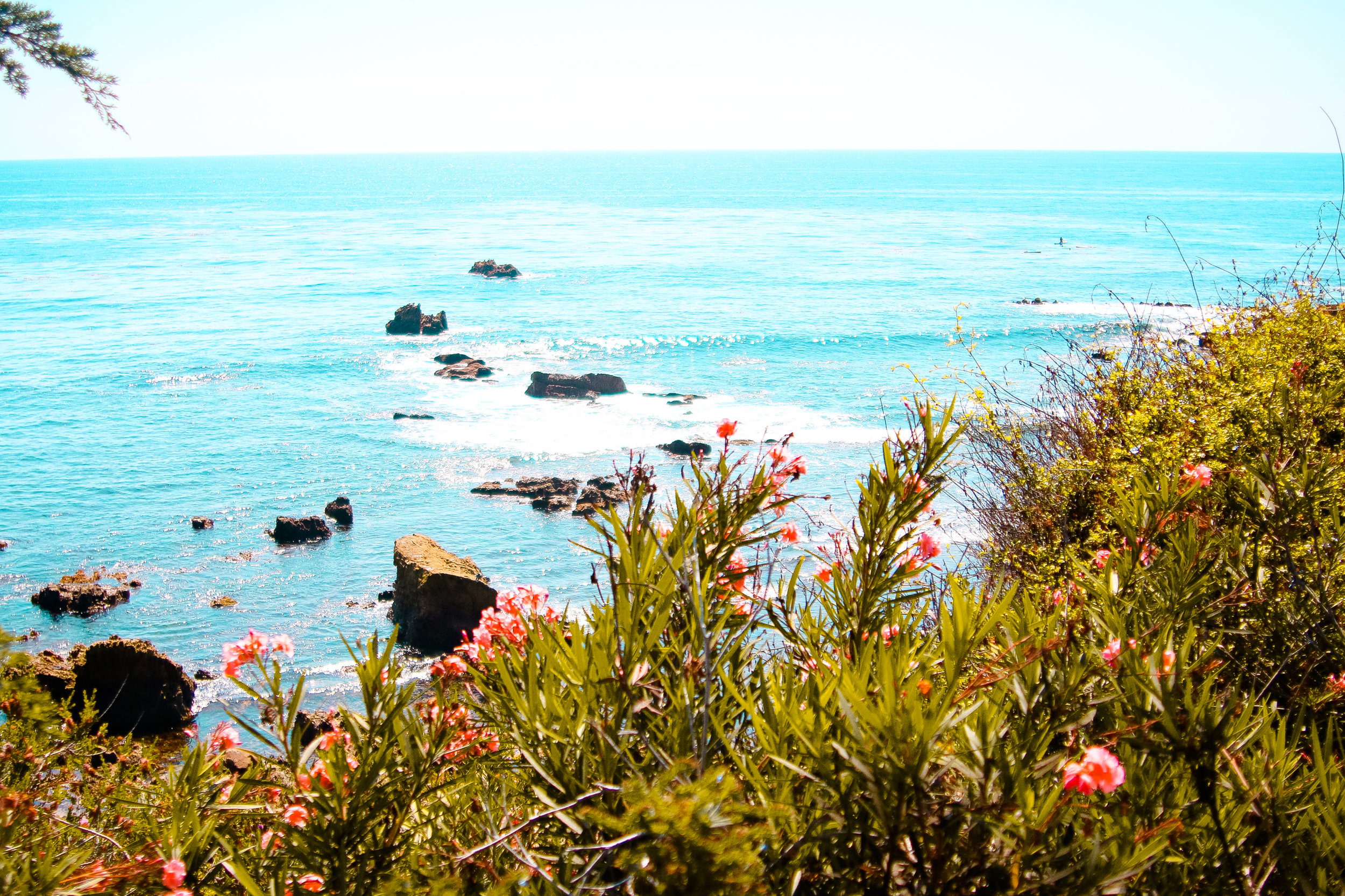 lagunabeach-10.jpg