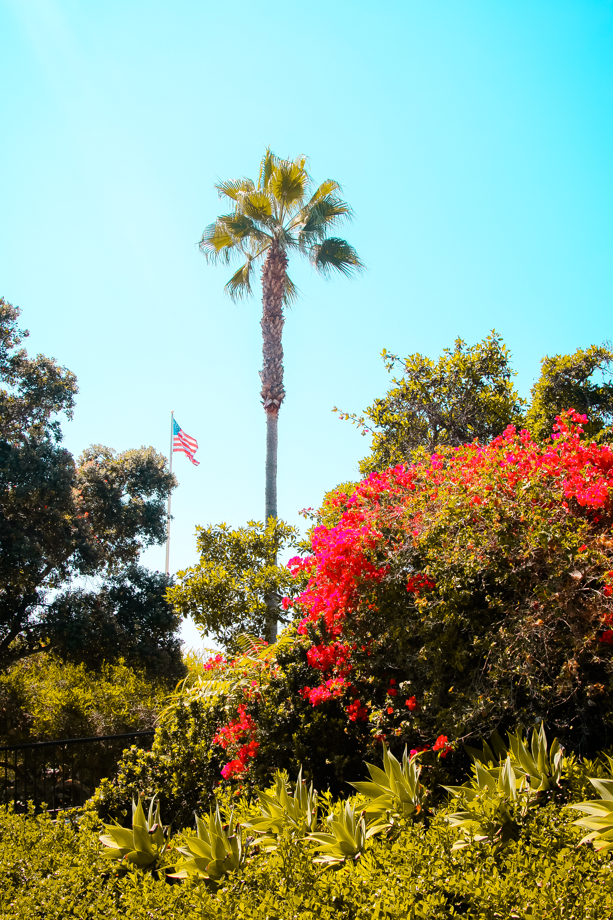 lagunabeach-12.jpg