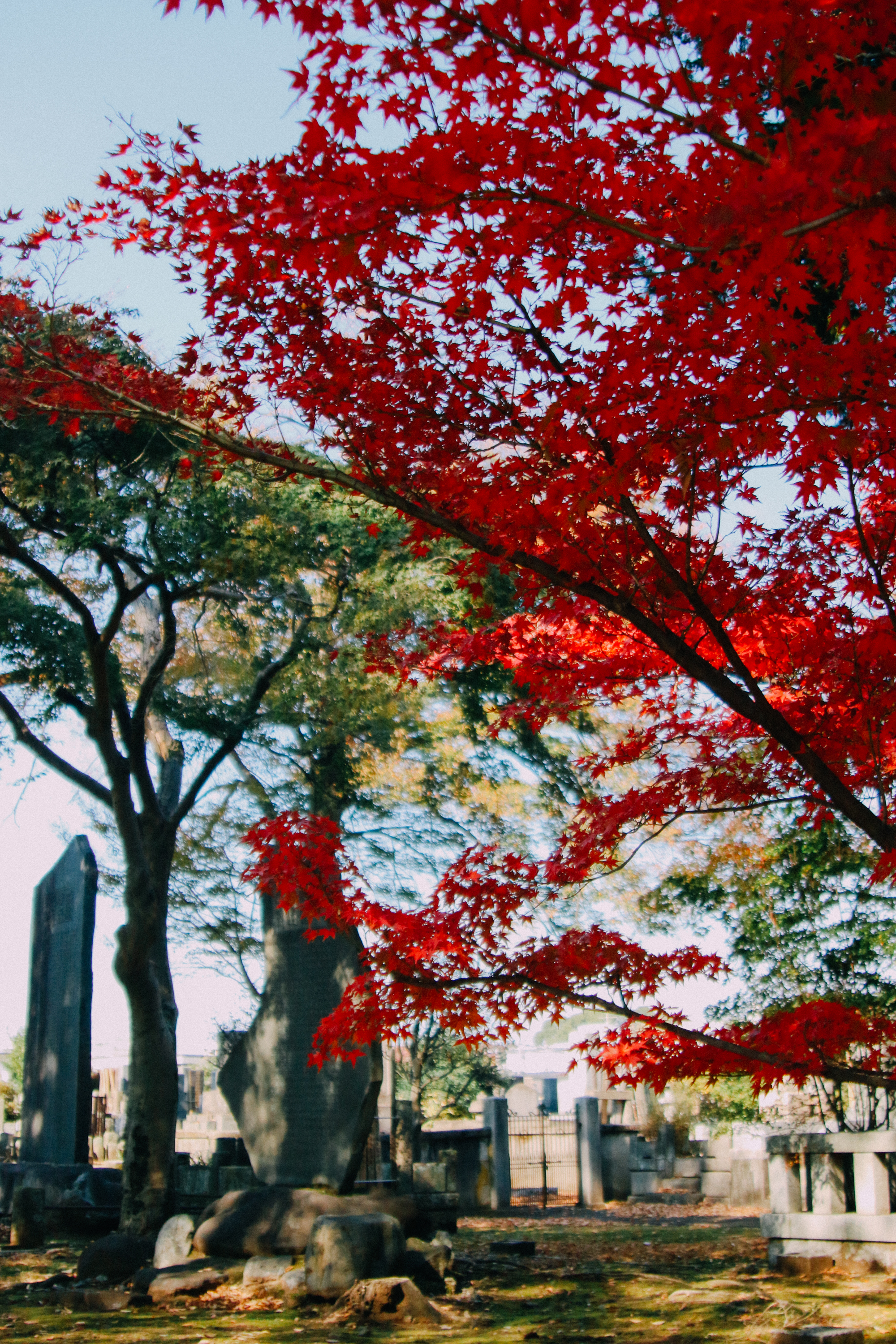 Tokyo-83.jpg