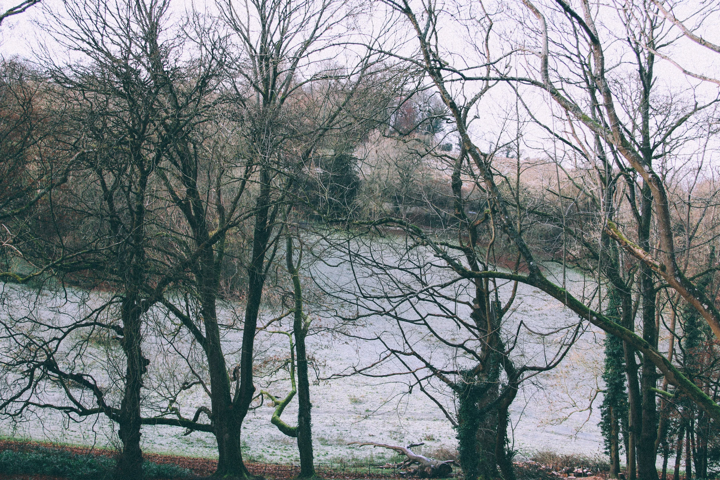 Bath-15.jpg