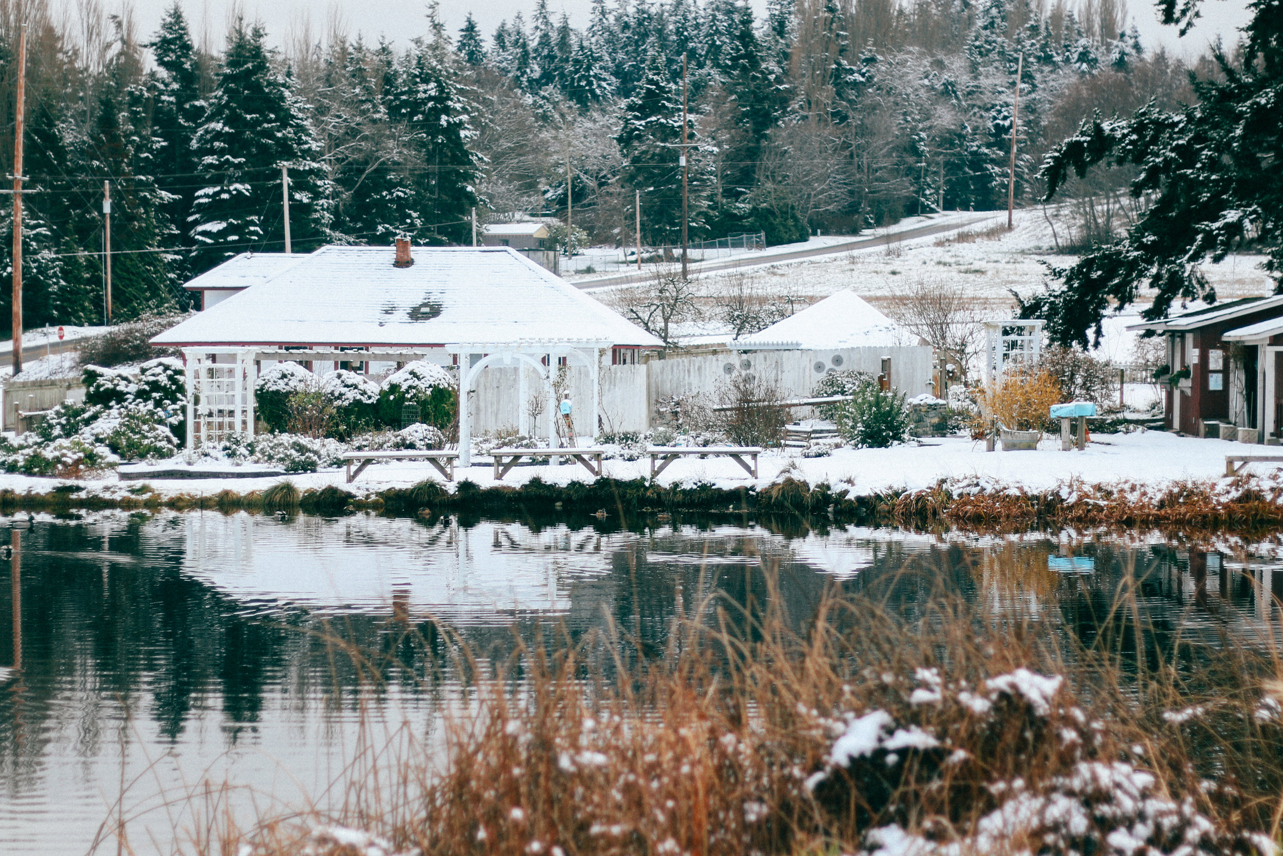 pnw-18.jpg
