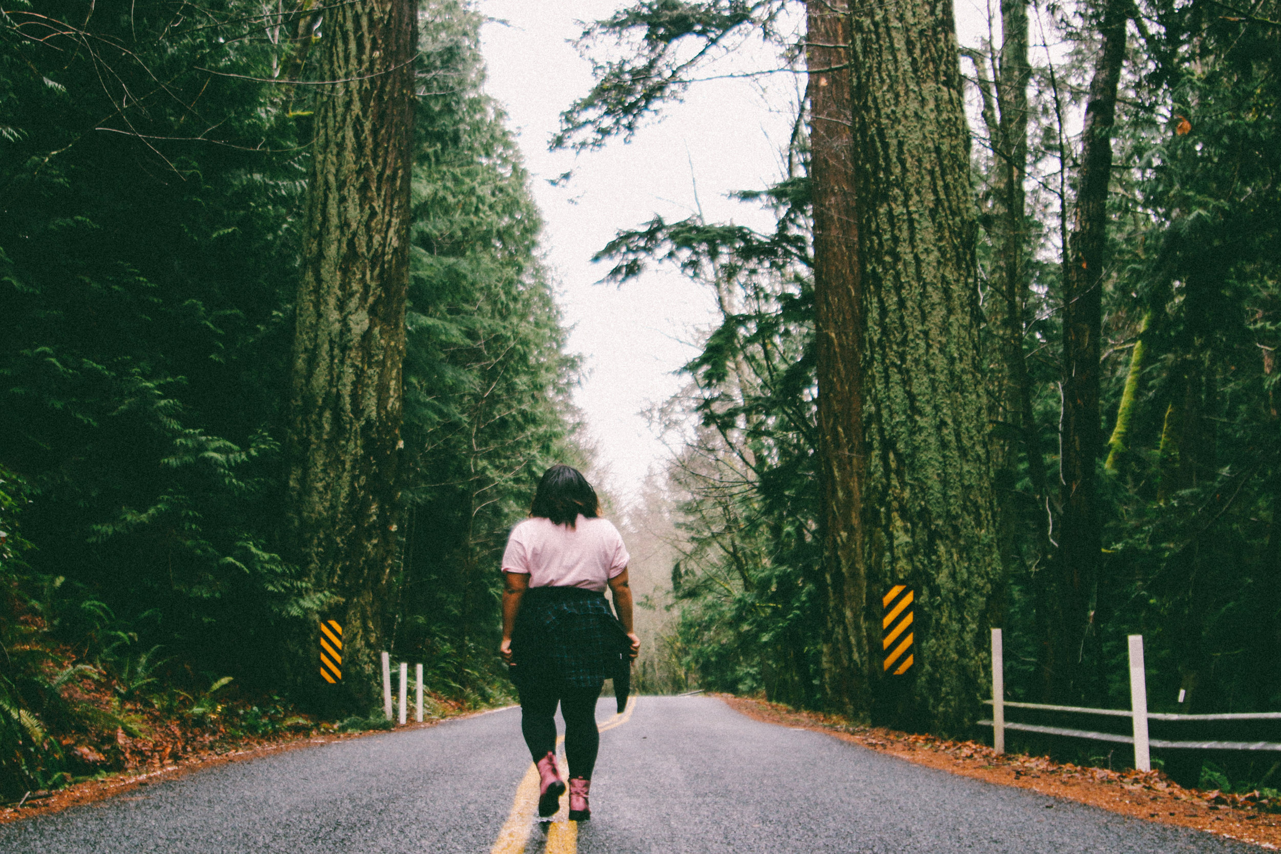 pnw-91.jpg