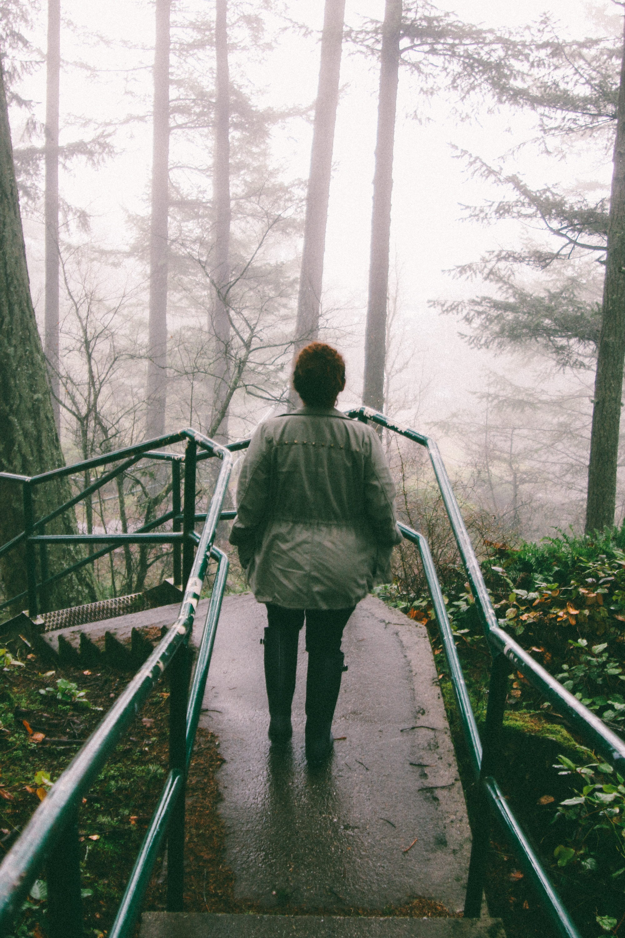 pnw-102.jpg