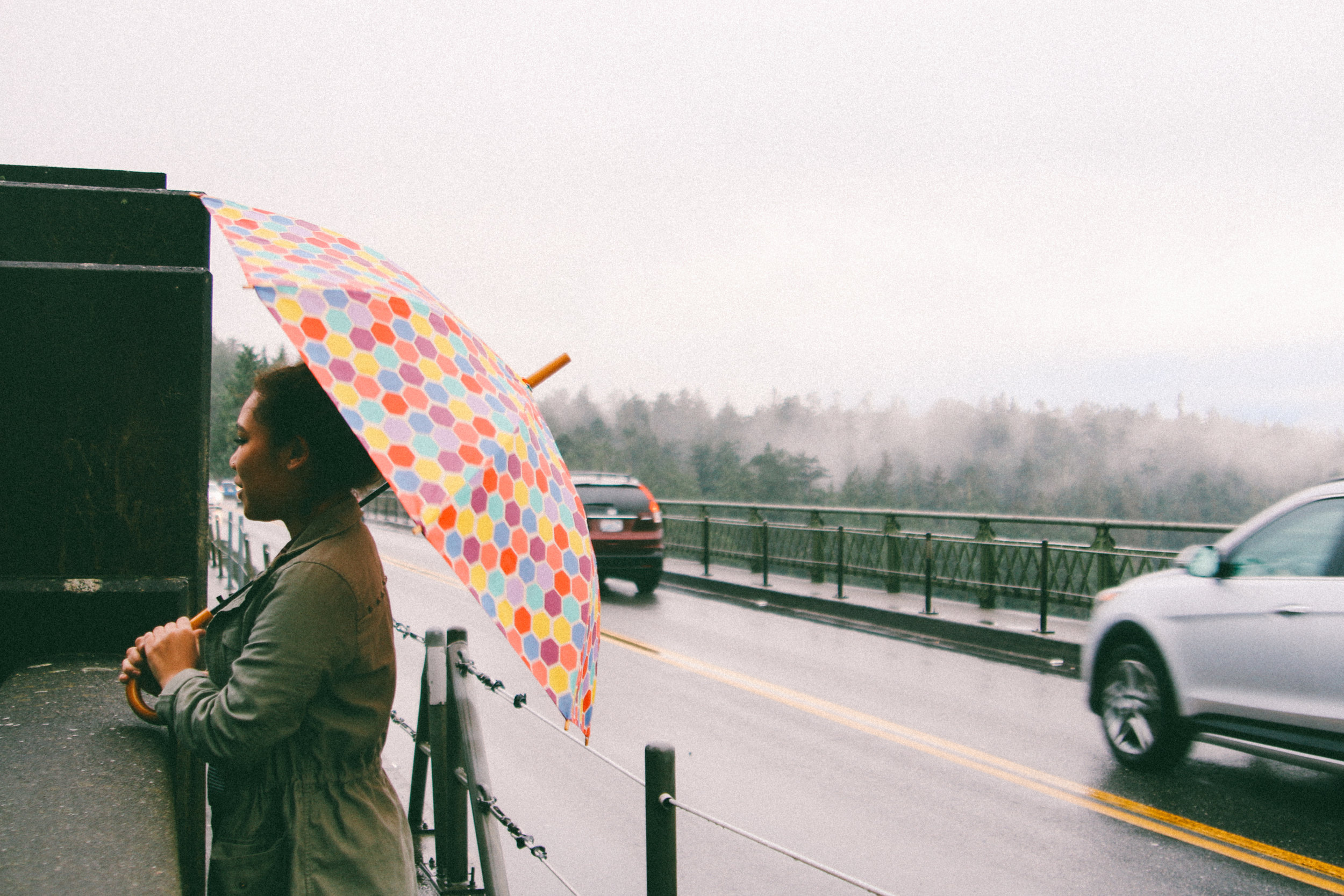 pnw-105.jpg