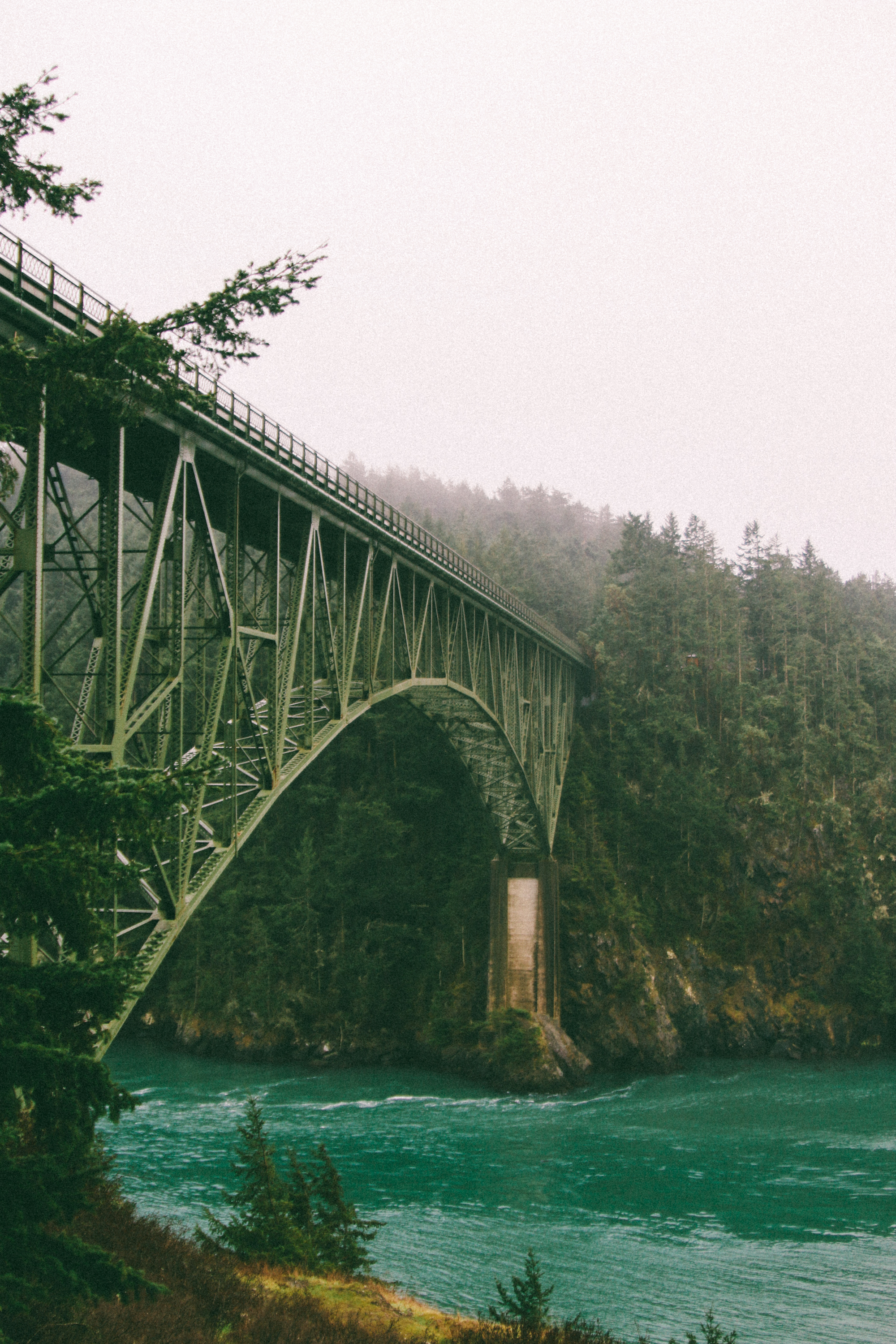 pnw-127.jpg