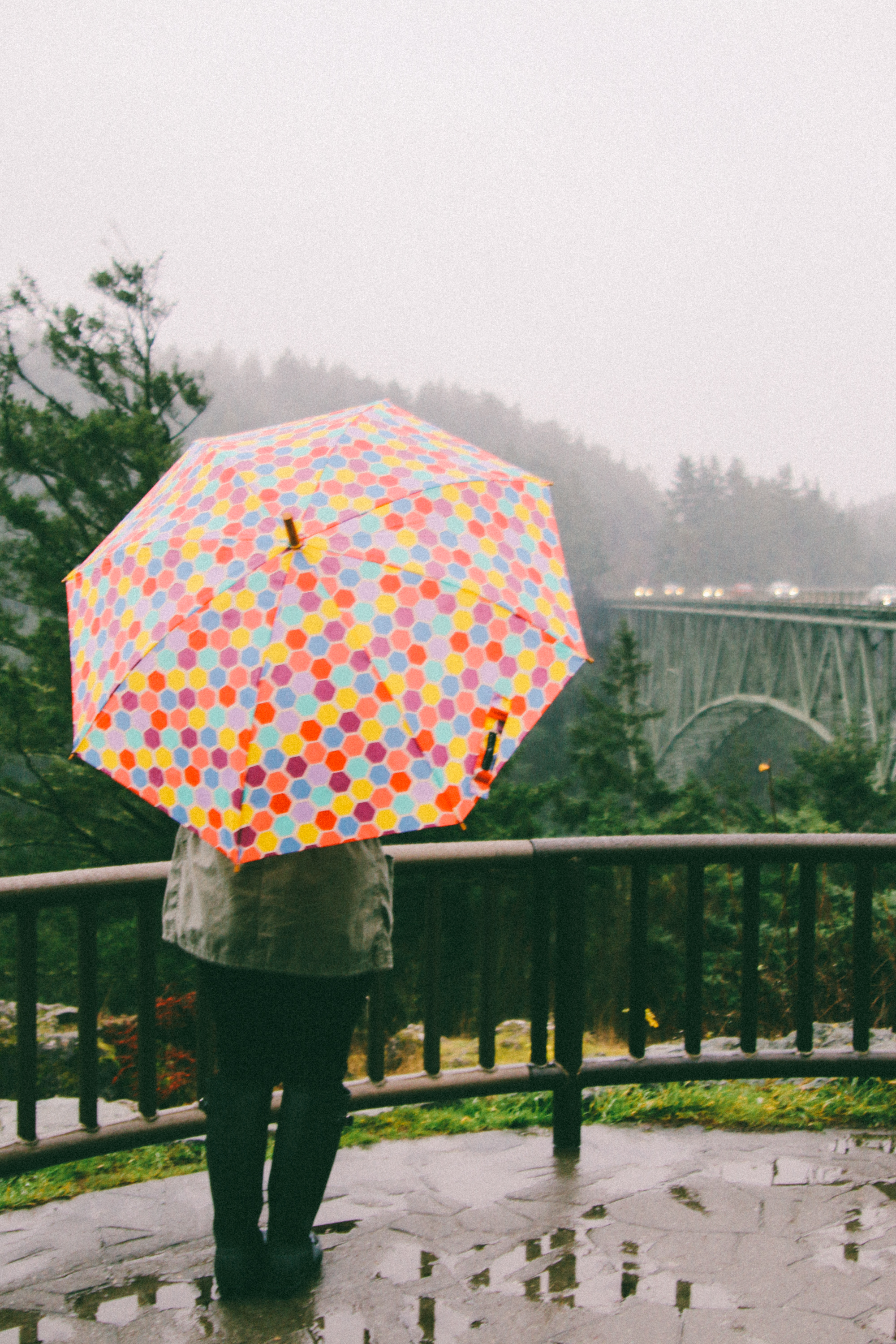 pnw-134.jpg