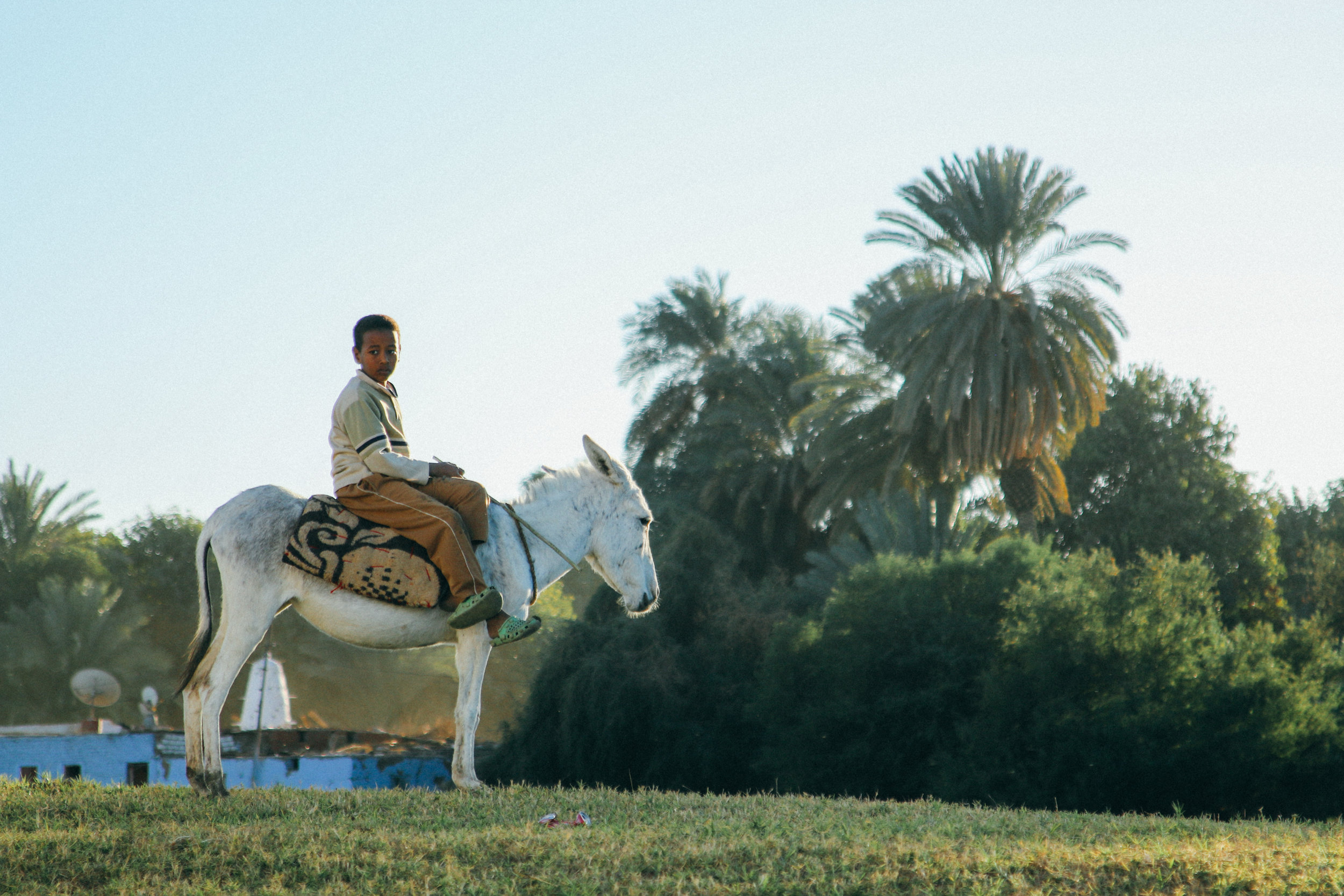 aswan-105.jpg