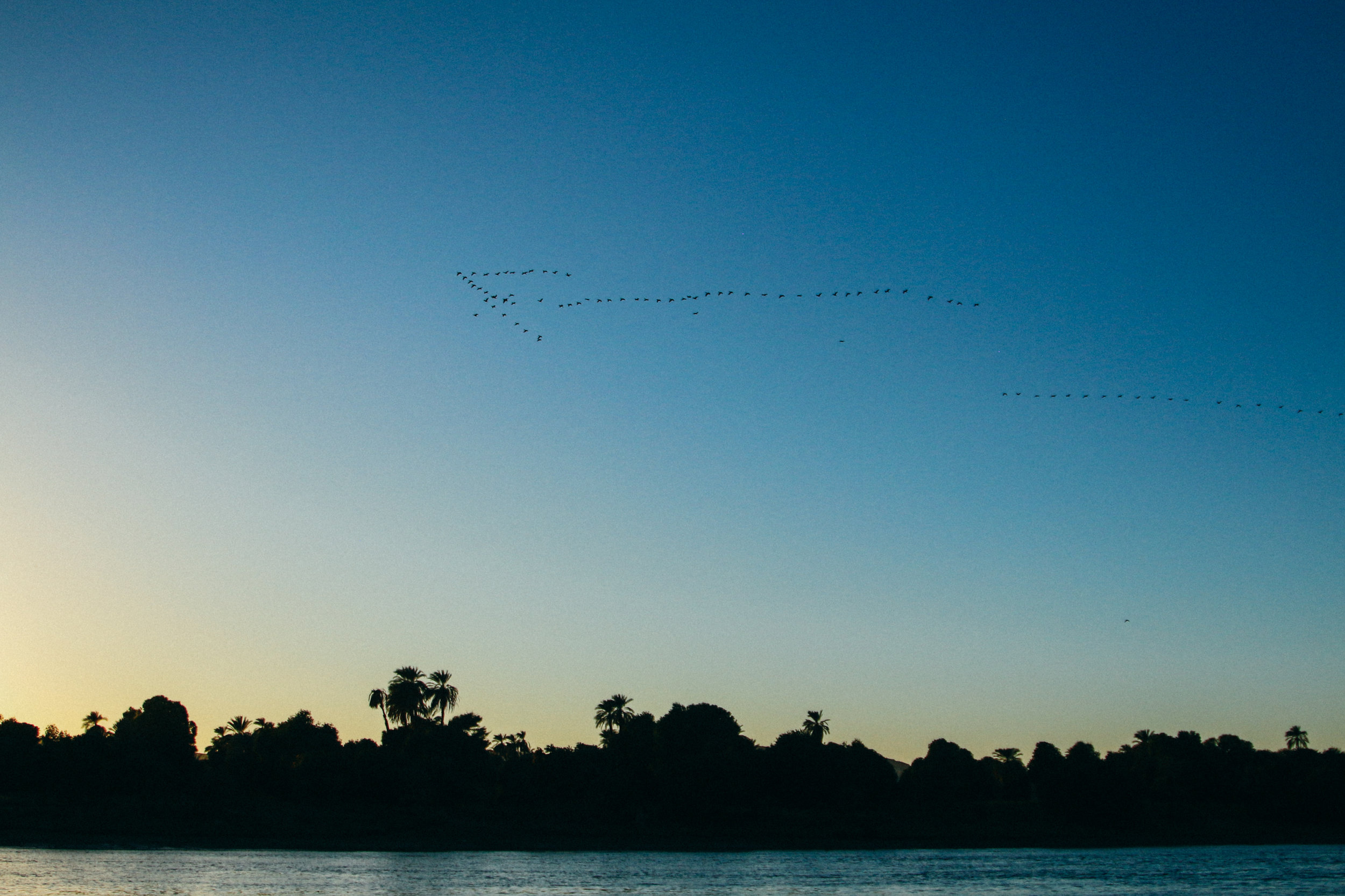 aswan-109.jpg