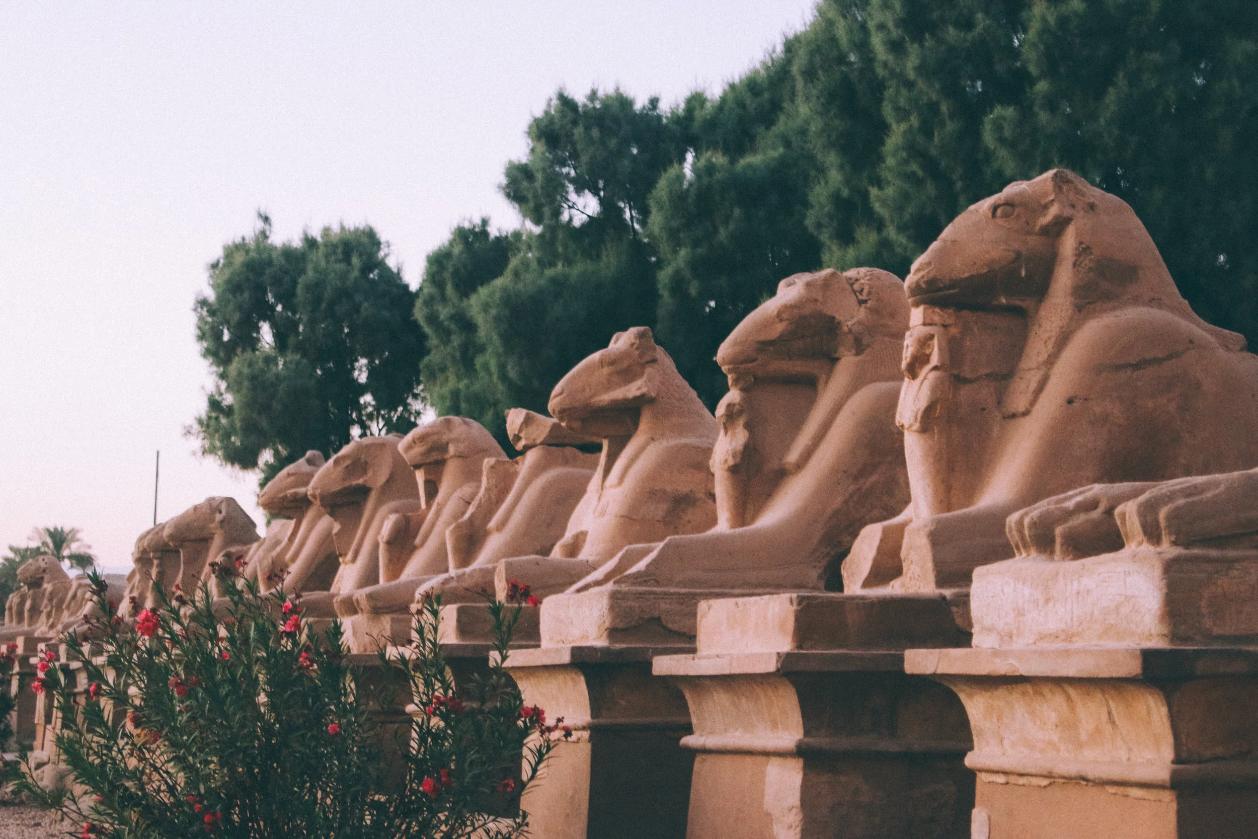 luxor-84.jpg