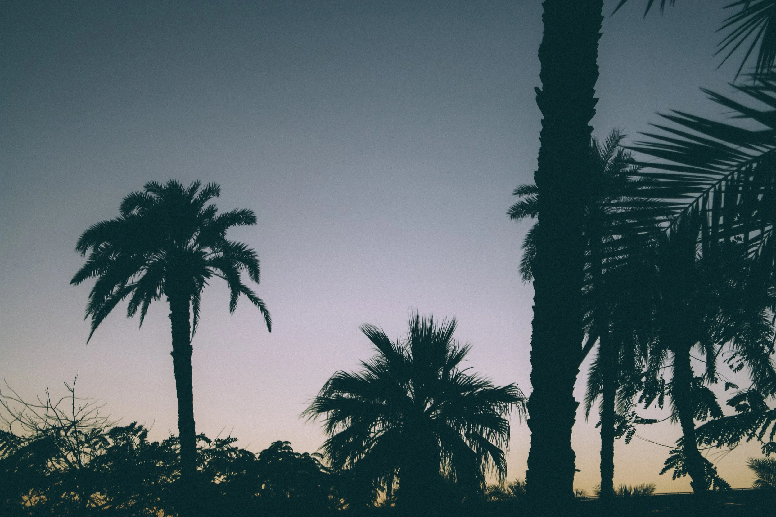 luxor-87.jpg