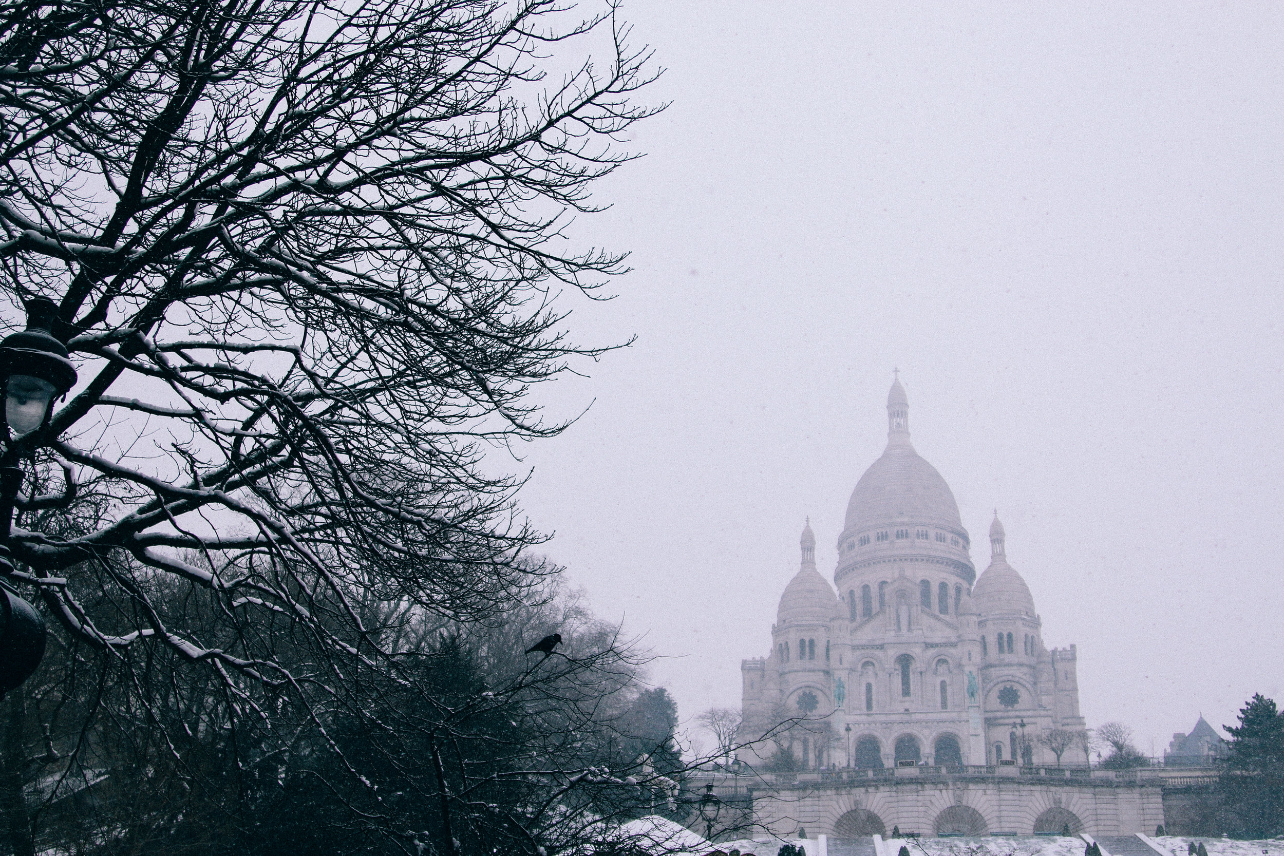 paris-122.jpg
