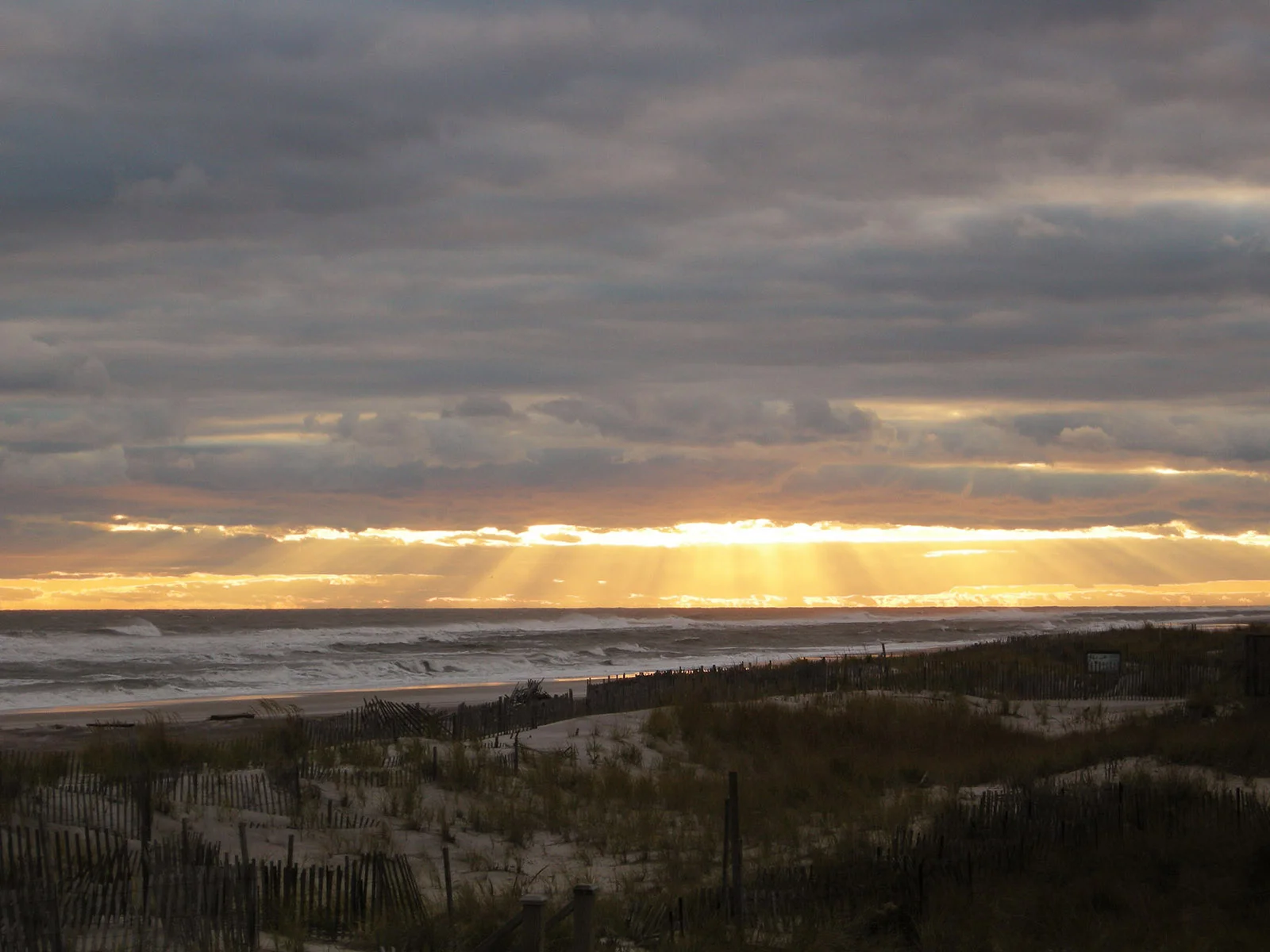 "HeavenShinesOnFireIslandPines" as shown, Gallery Wrap Canvas 20x30 *only available in this color way Purchase
