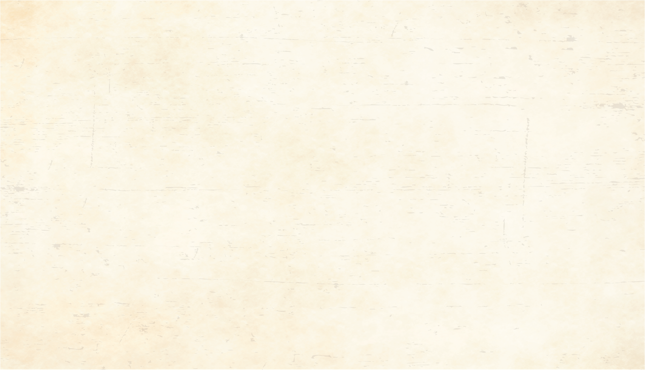 Asset 2.png
