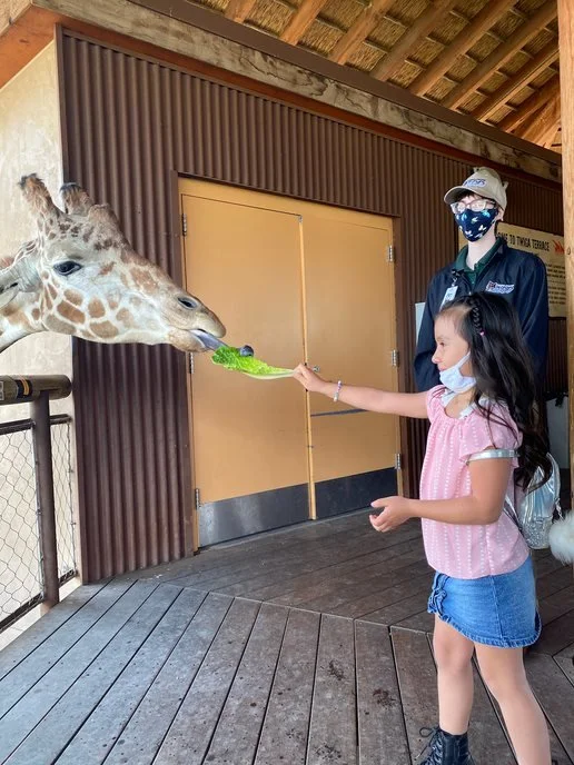 Del Rey Goes to the Zoo