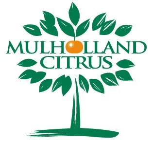 Mulholland logo 71003.jpg