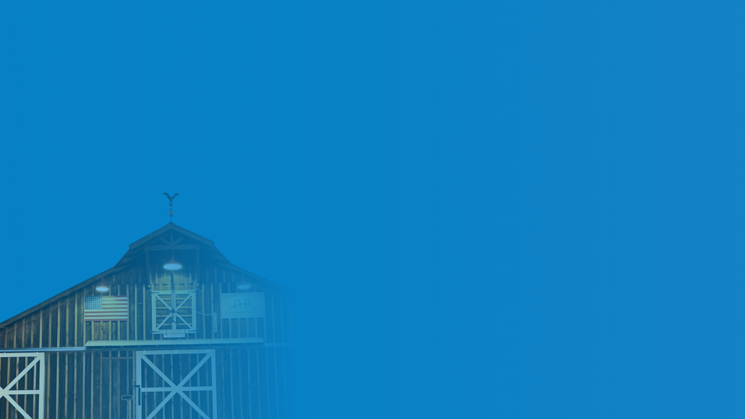 Untitled design (7).png