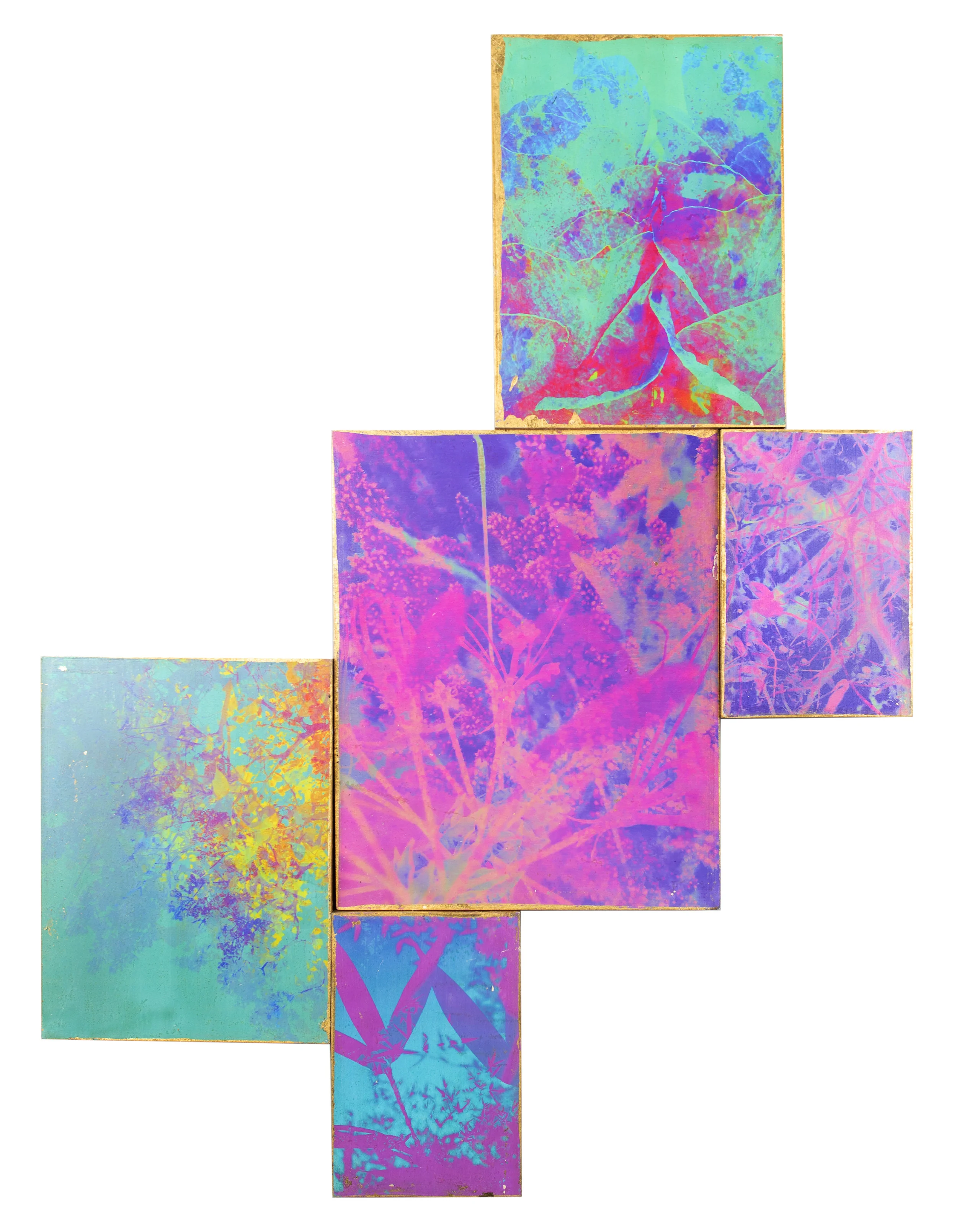 Fusion 0001 0 Front 18x24 cut out.jpg