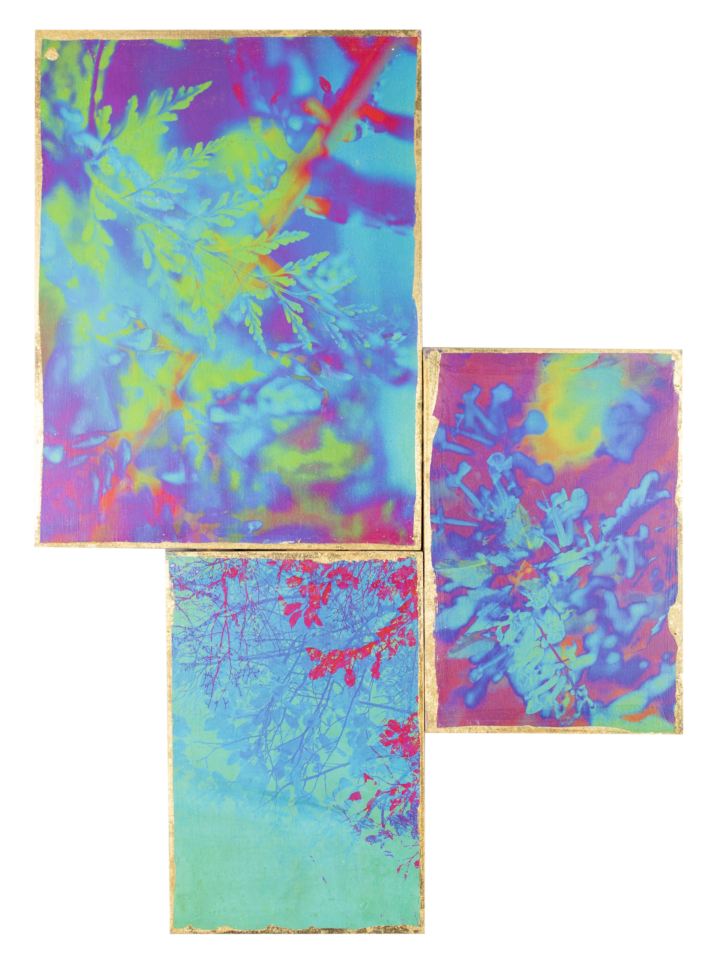  Hyperstimulation Fusion 0009, 2019 10x14”  Inkjet Photo Transfer on Birch, Gold Leaf 