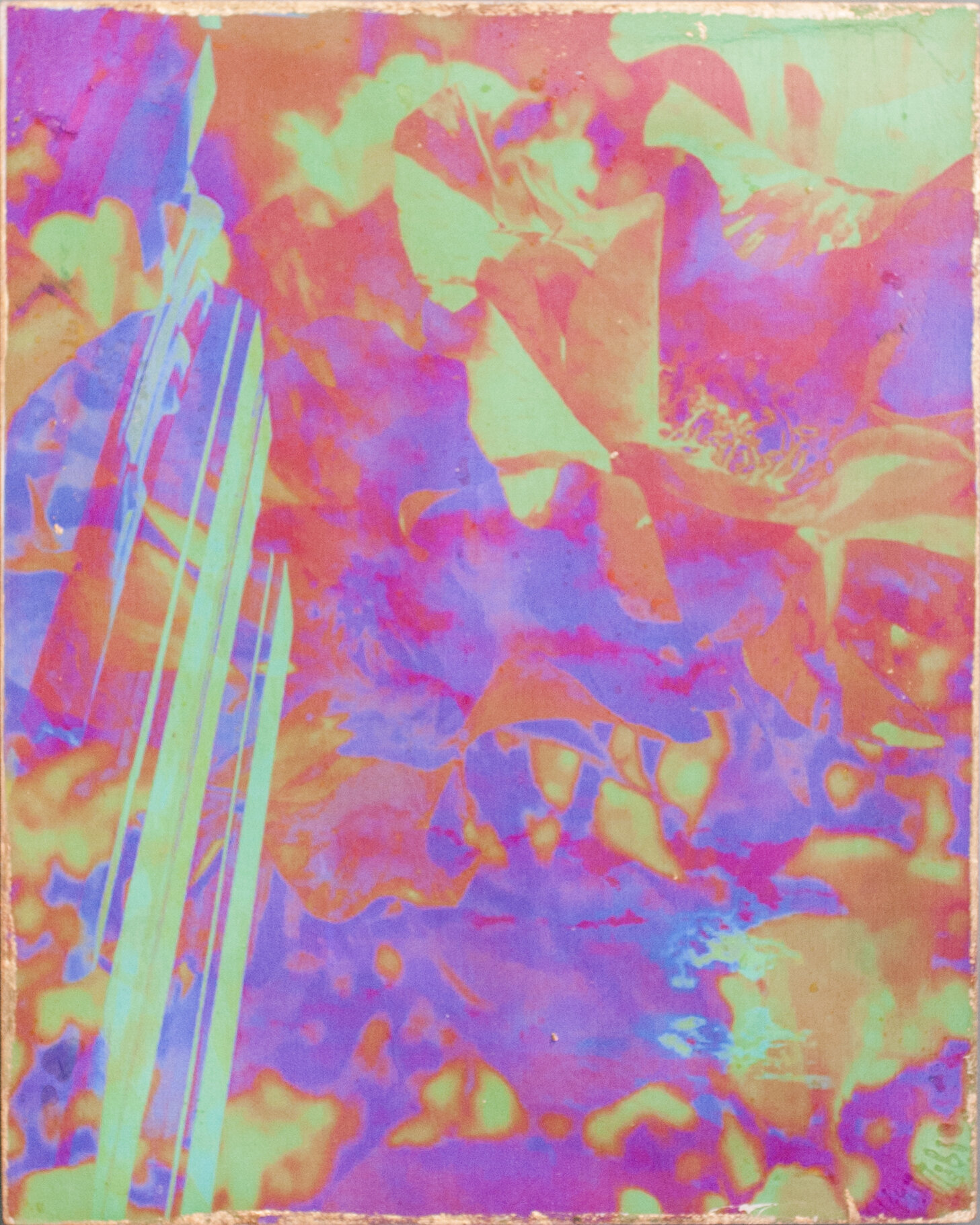  Hyperstimulation 0199, 2017 8x10”  Inkjet Photo Transfer on Birch, Gold Leaf, 3D Glasses 