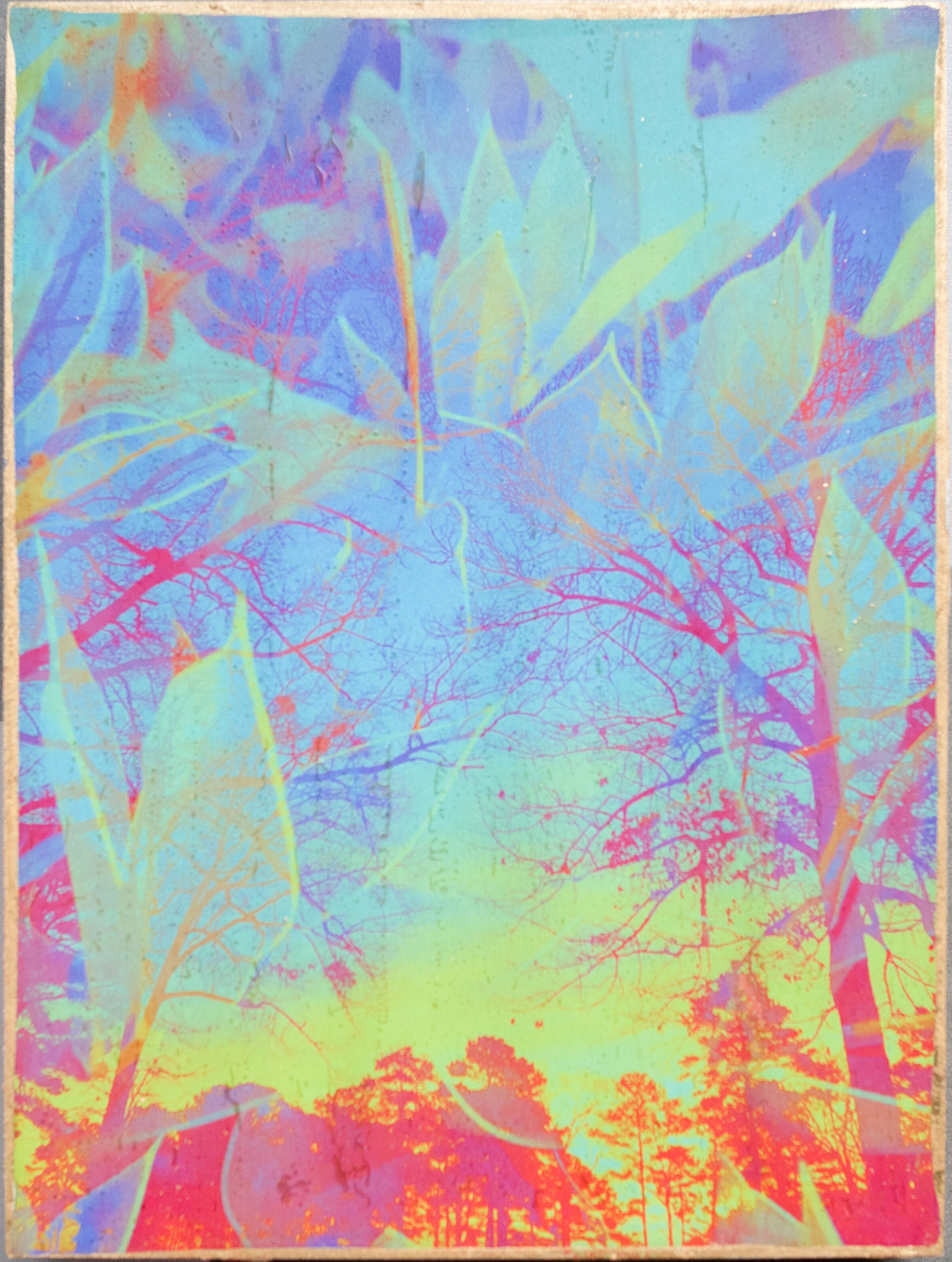  Hyperstimulation 0409, 2018 6x8”  Inkjet Photo Transfer on Birch, Gold Leaf, 3D Glasses  Bombay Sapphire Artisan Series Semifinalist 