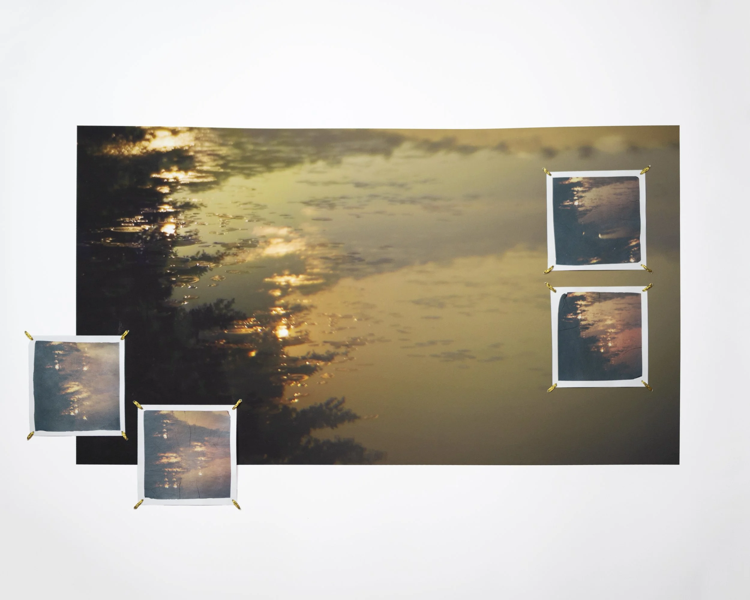 The Subtle Body of Living Things - Reverb 39 copy.jpg