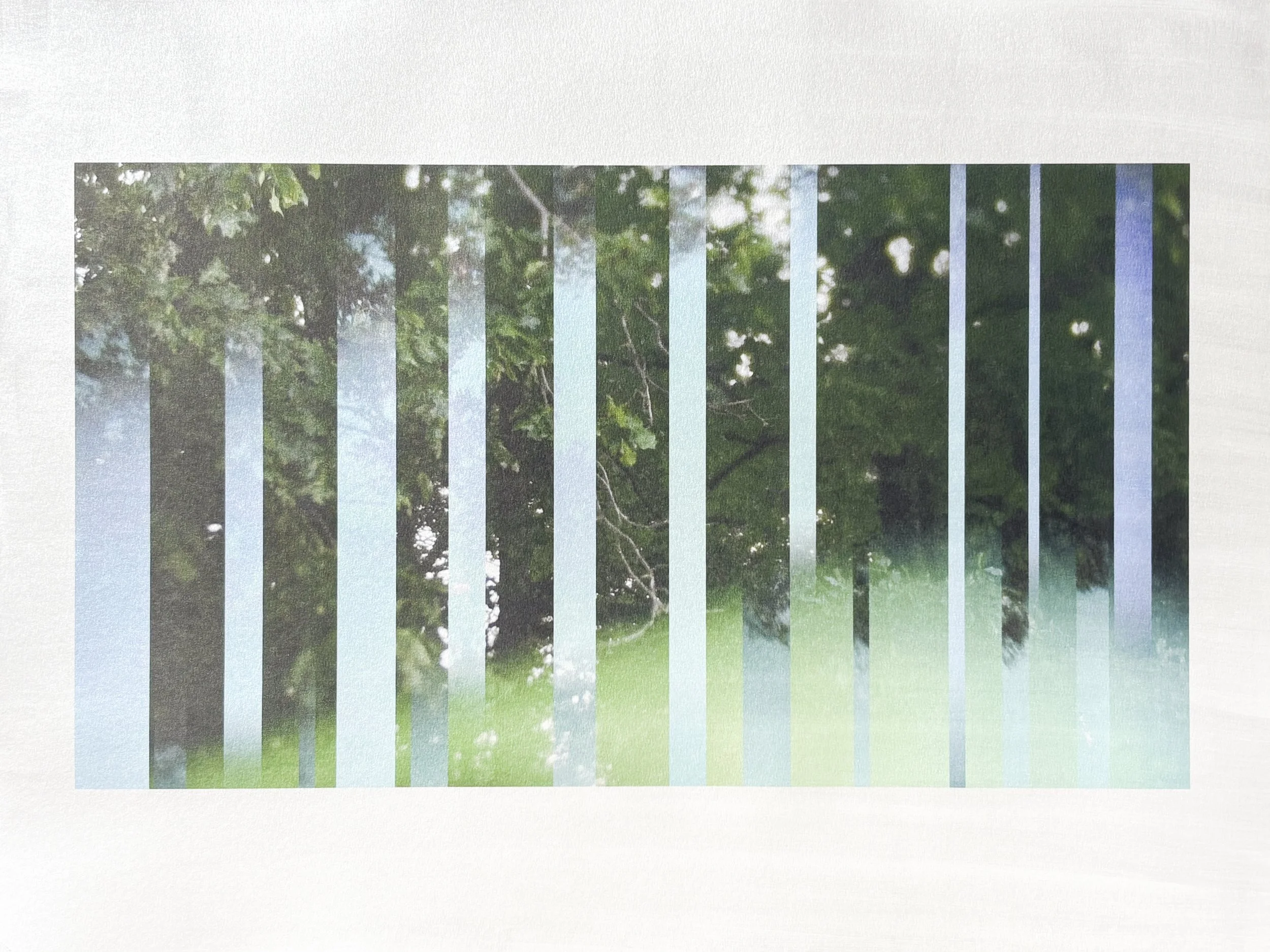 The Subtle Body of Living Things - Pulse 07.jpg