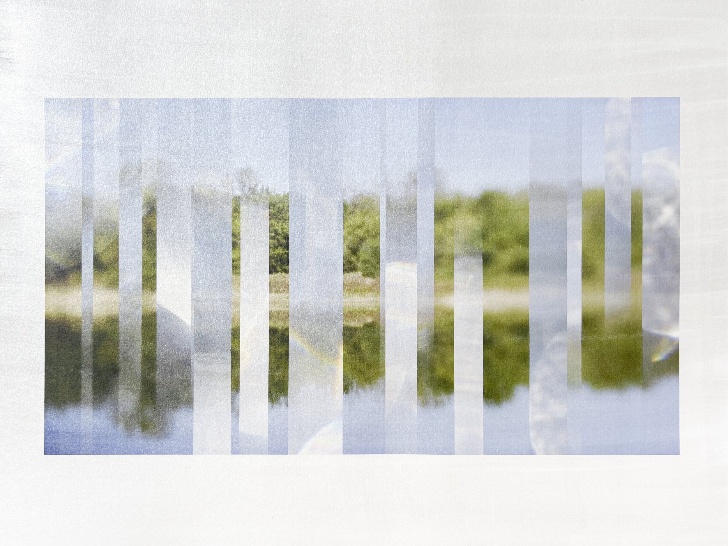 The Subtle Body of Living Things - Pulse 23.jpg