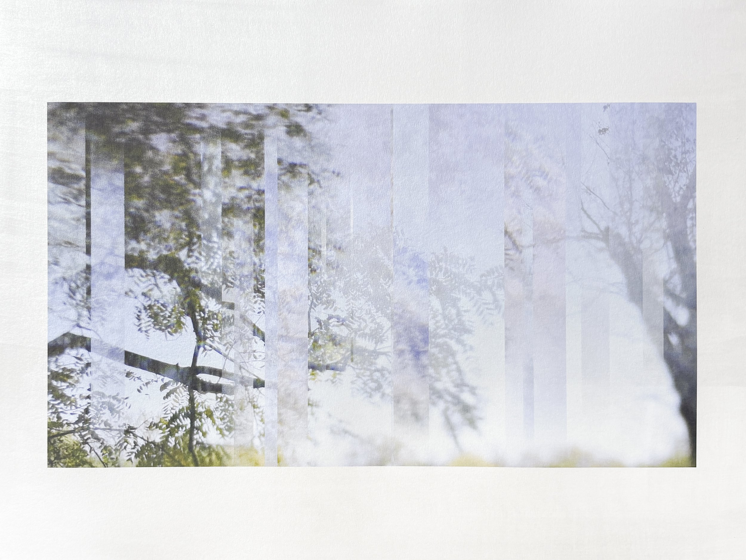 The Subtle Body of Living Things - Pulse 28.jpg