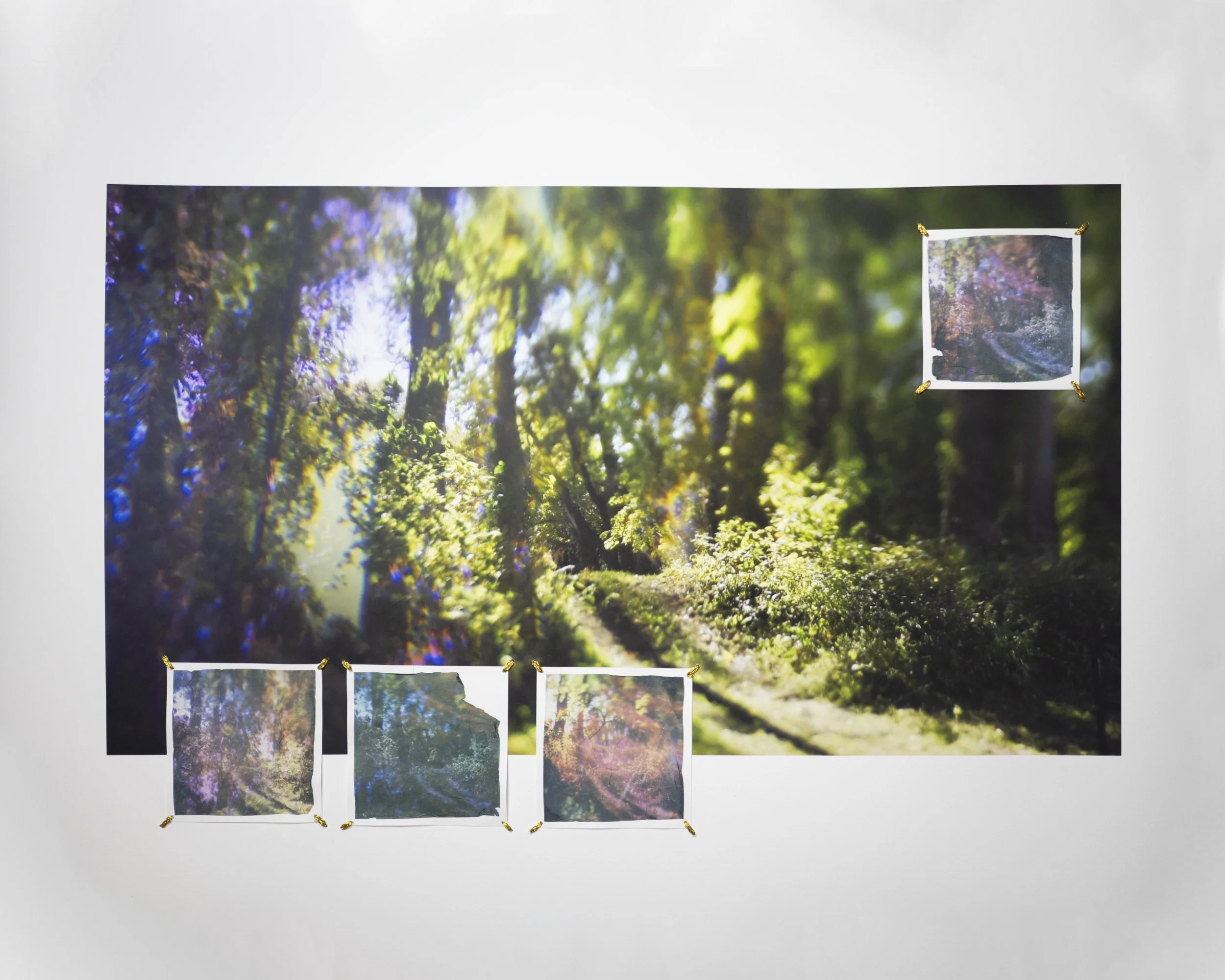 The Subtle Body of Living Things - Reverb 22.jpg