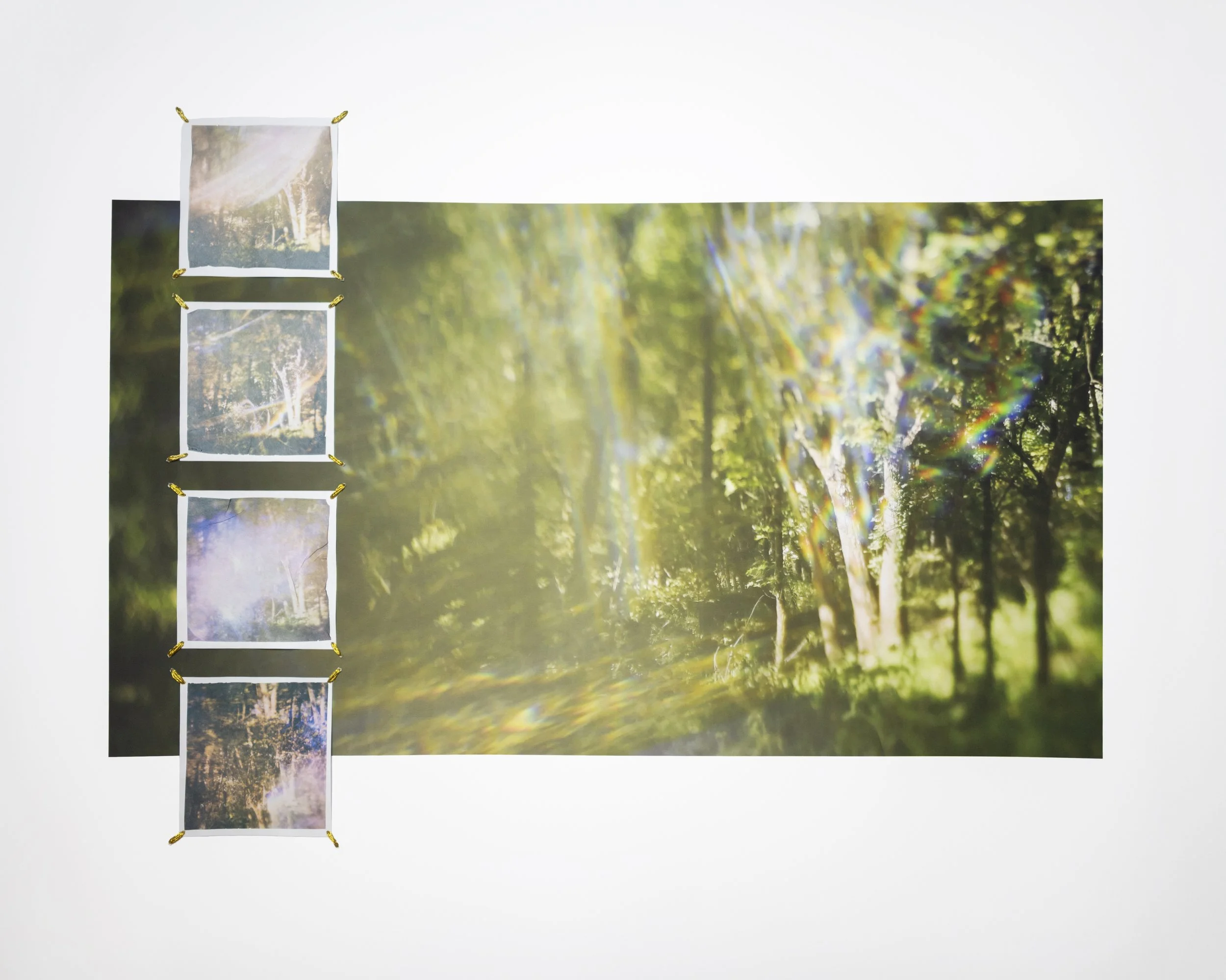 The Subtle Body of Living Things - Reverb 36 copy.jpg