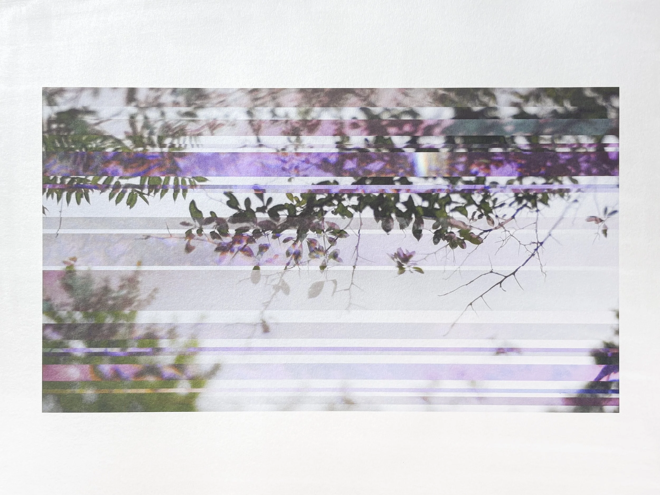 The Subtle Body of Living Things - Pulse 02.jpg