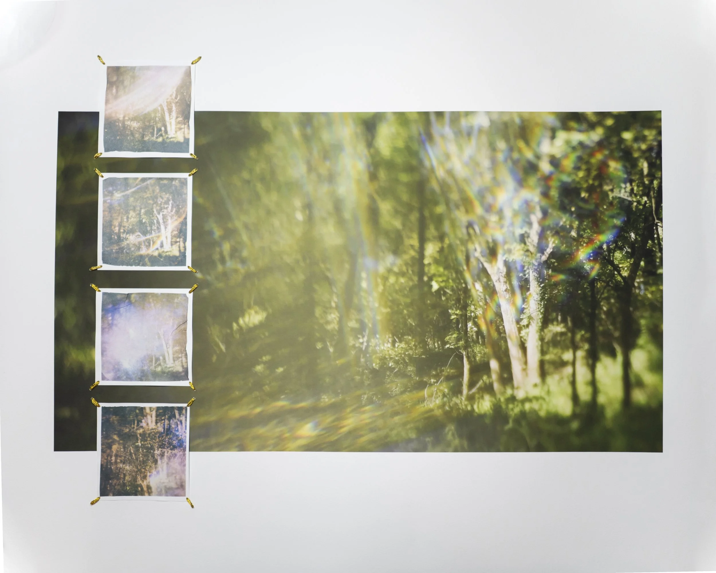 The Subtle Body of Living Things - Reverb 36.jpg