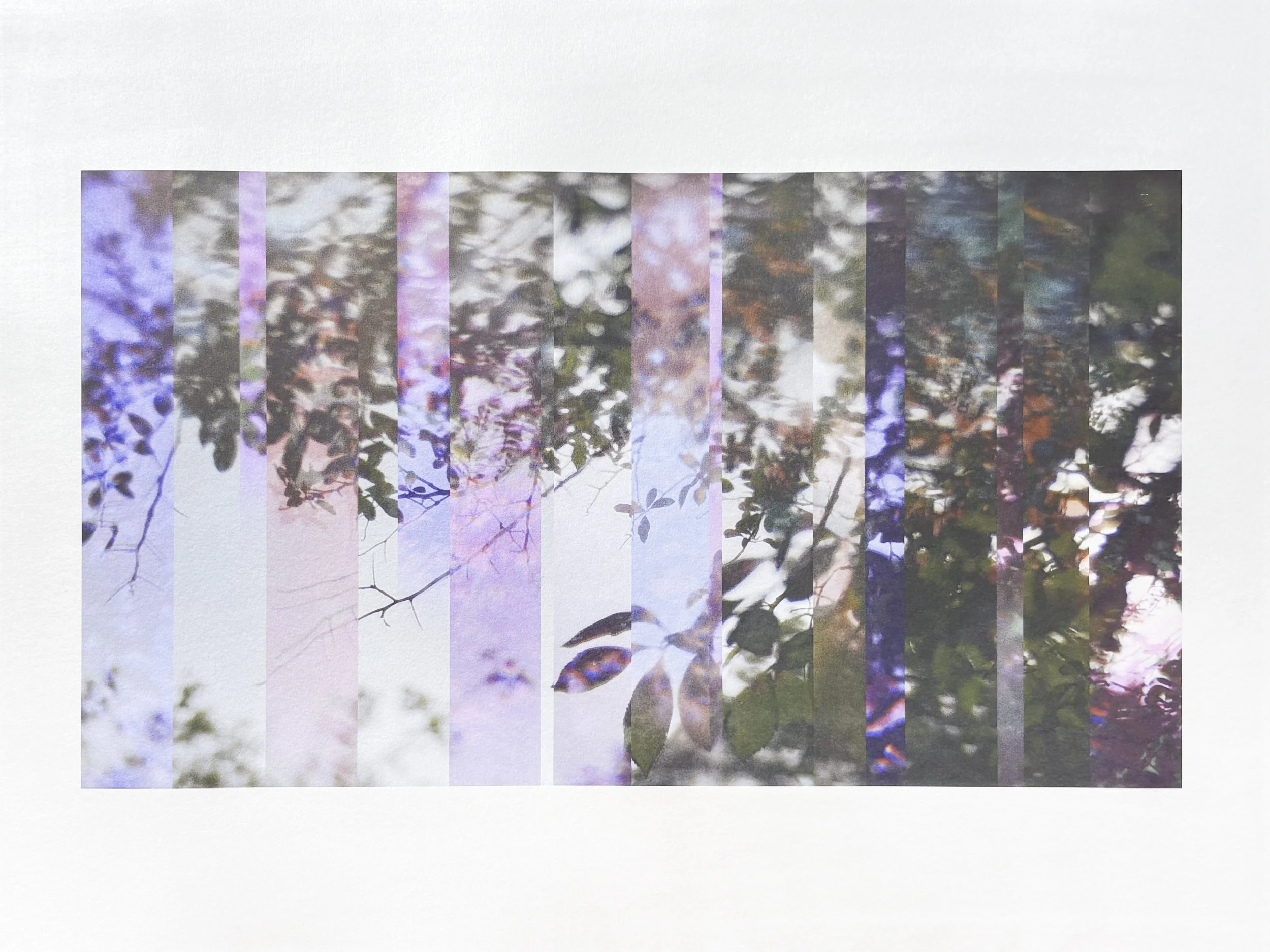 The Subtle Body of Living Things - Pulse 17.jpg