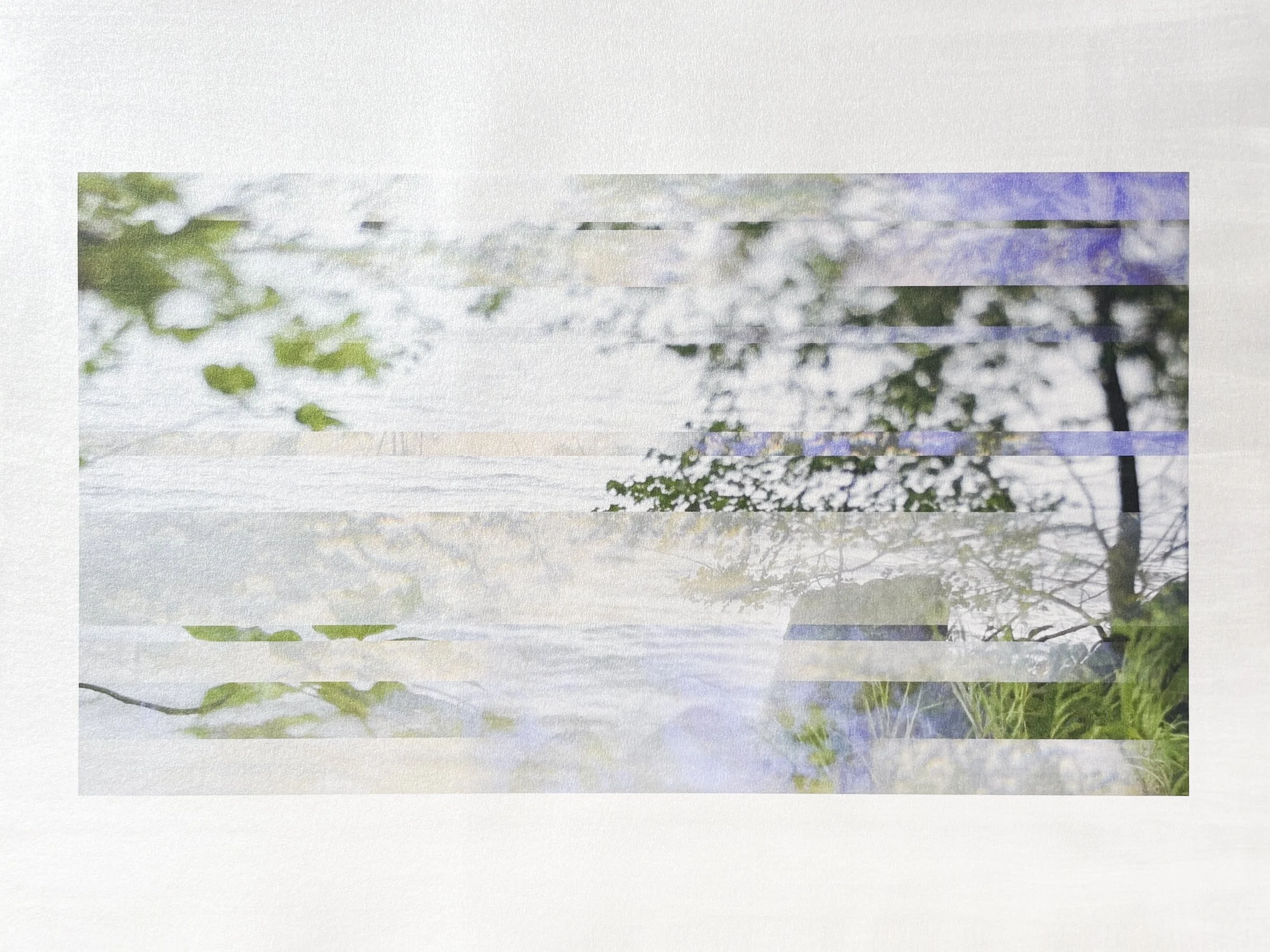 The Subtle Body of Living Things - Pulse 18.jpg