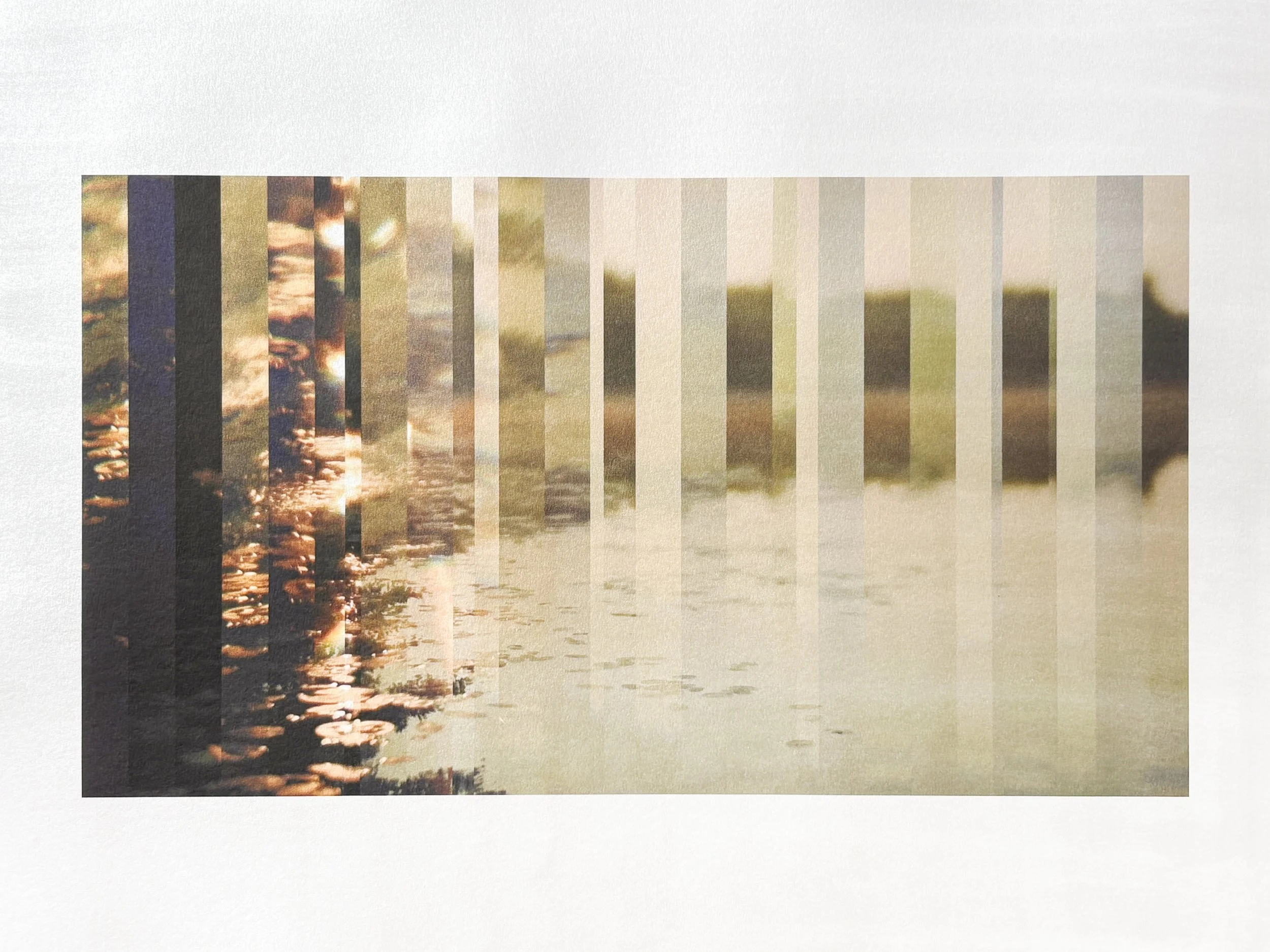 The Subtle Body of Living Things - Pulse 06.jpg