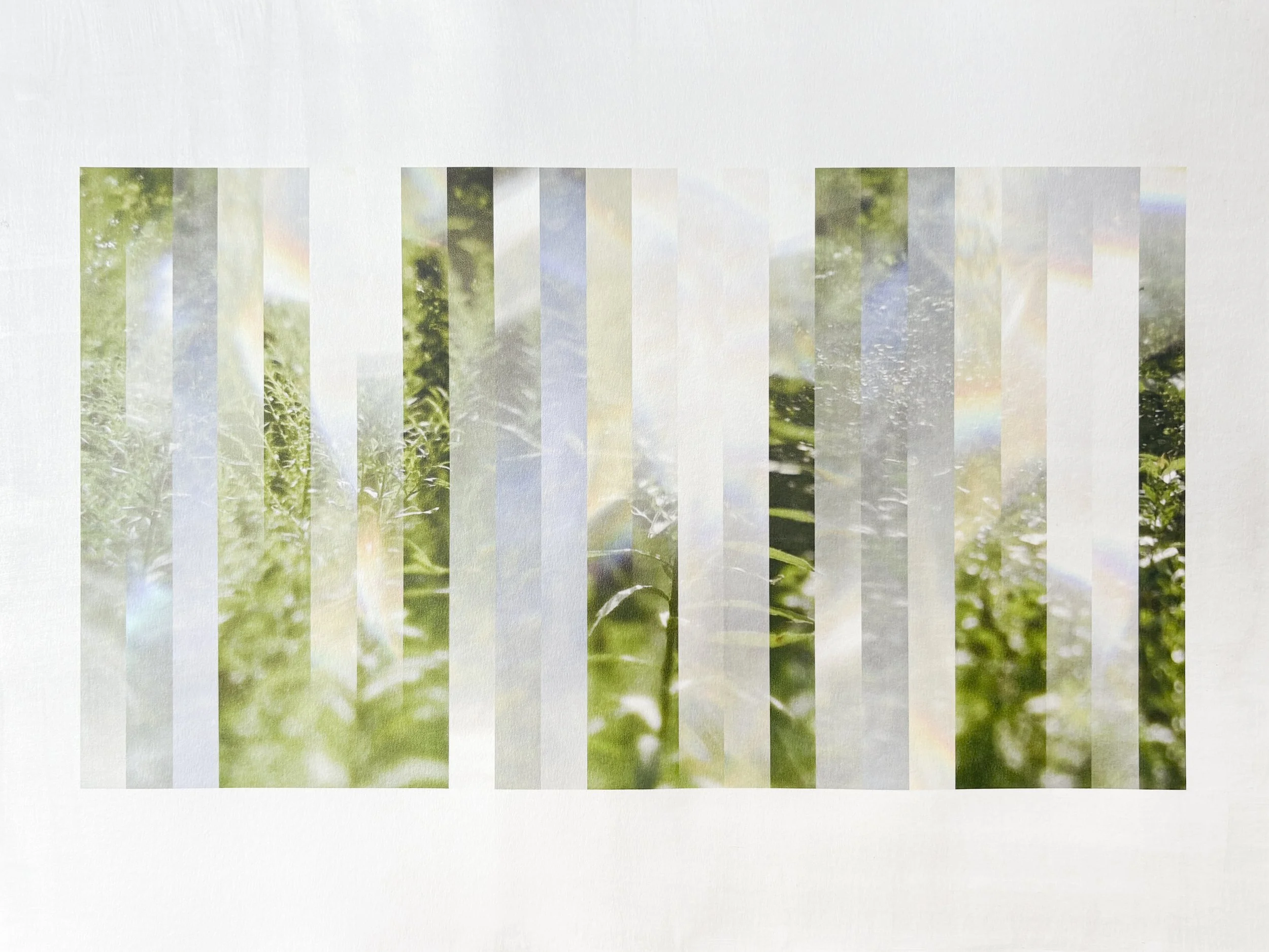 The Subtle Body of Living Things - Pulse 32.jpg