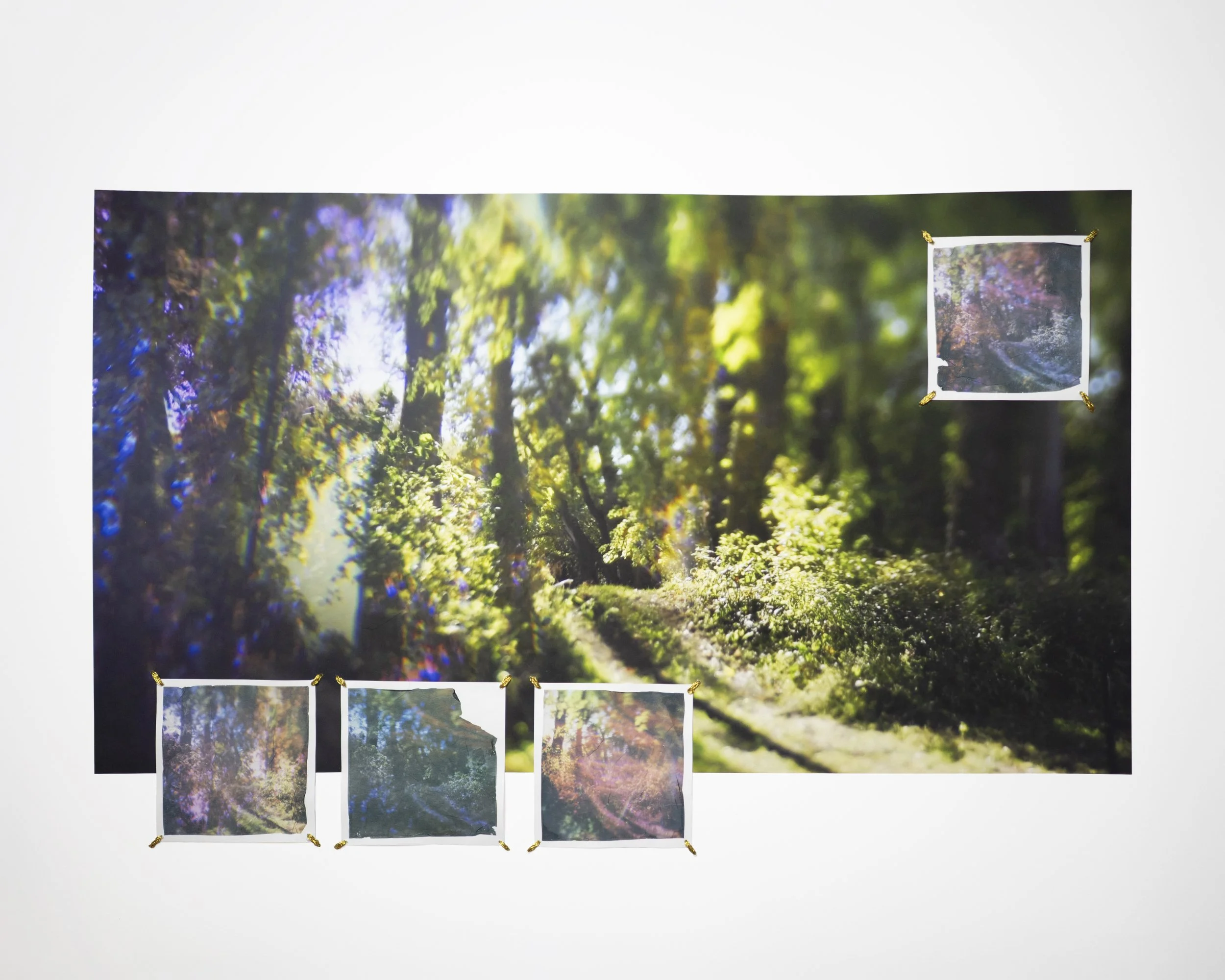 The Subtle Body of Living Things - Reverb 22 copy.jpg