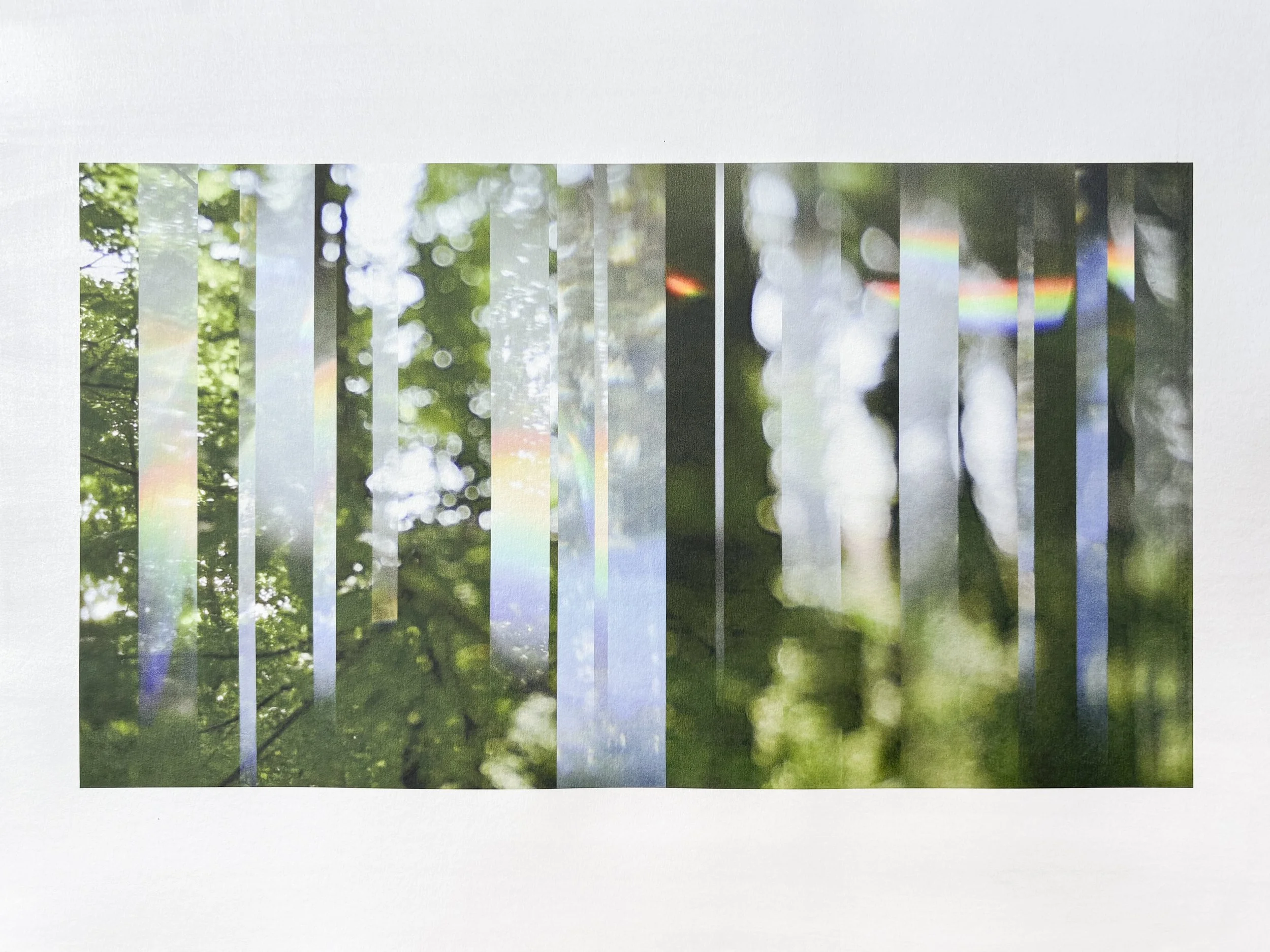 The Subtle Body of Living Things - Pulse 19.jpg