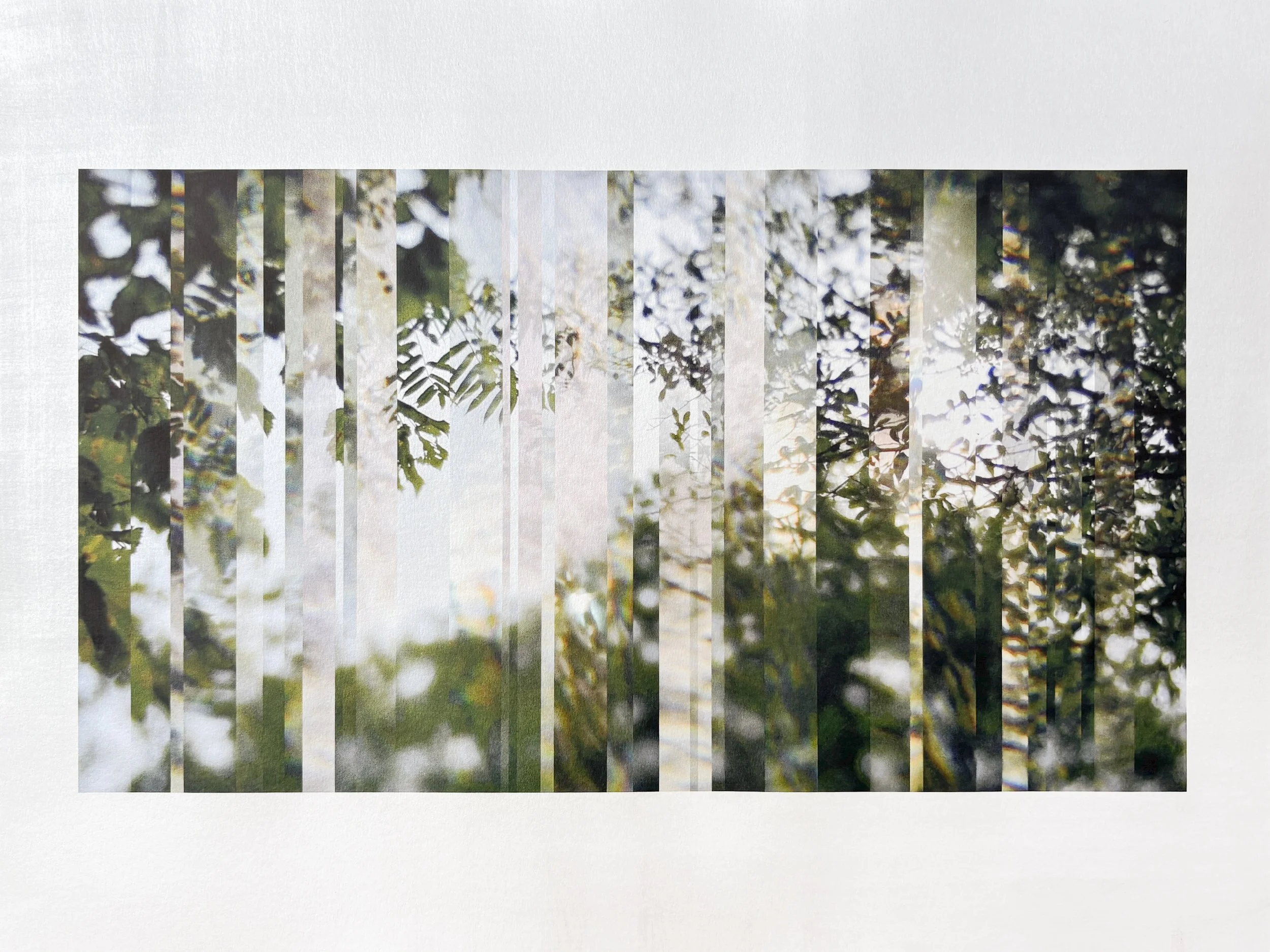 The Subtle Body of Living Things - Pulse 08.jpg