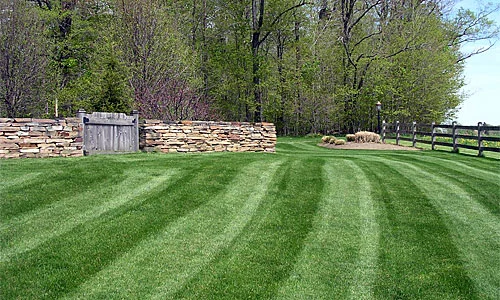 lawn-maintenance.jpg