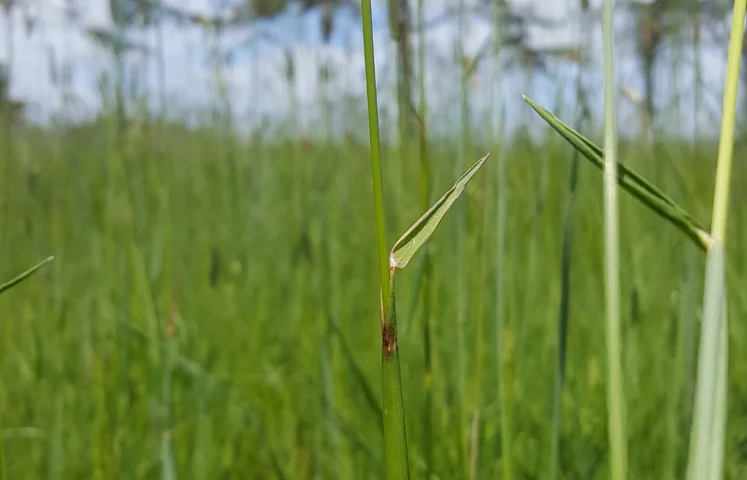 20161106_143503 (1).jpg