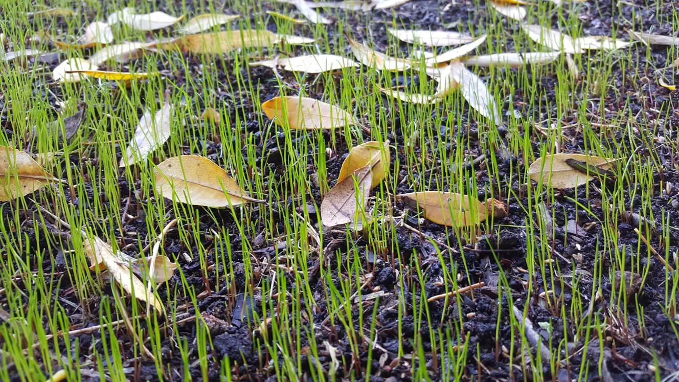 20161209_094326.jpg