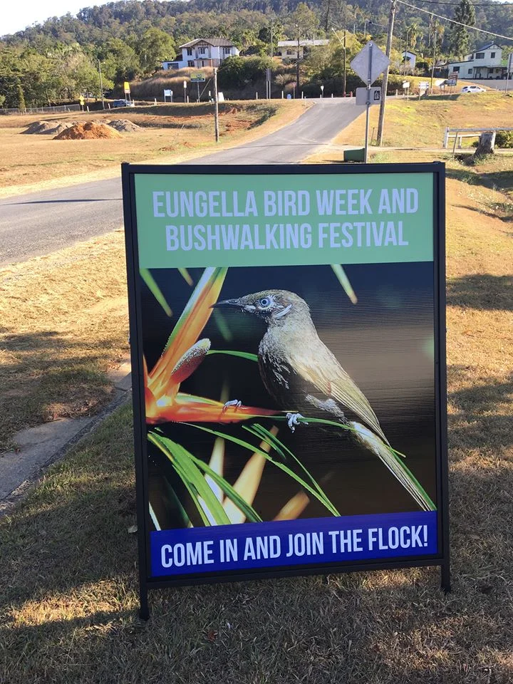 Bird Week.jpg