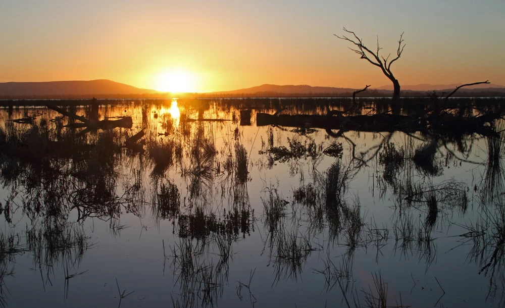 Sunset over Winton Swamp 9480 lr.jpg
