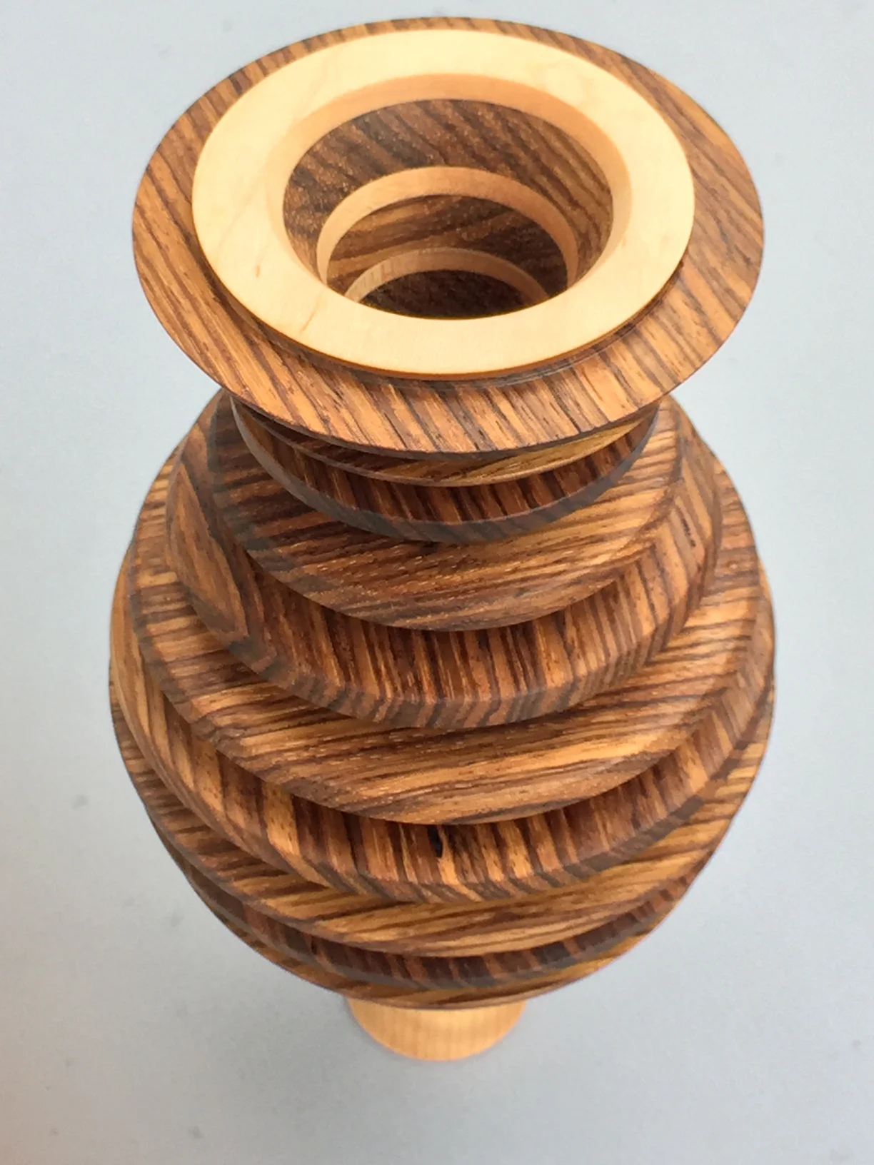 Double Vision Spine vase