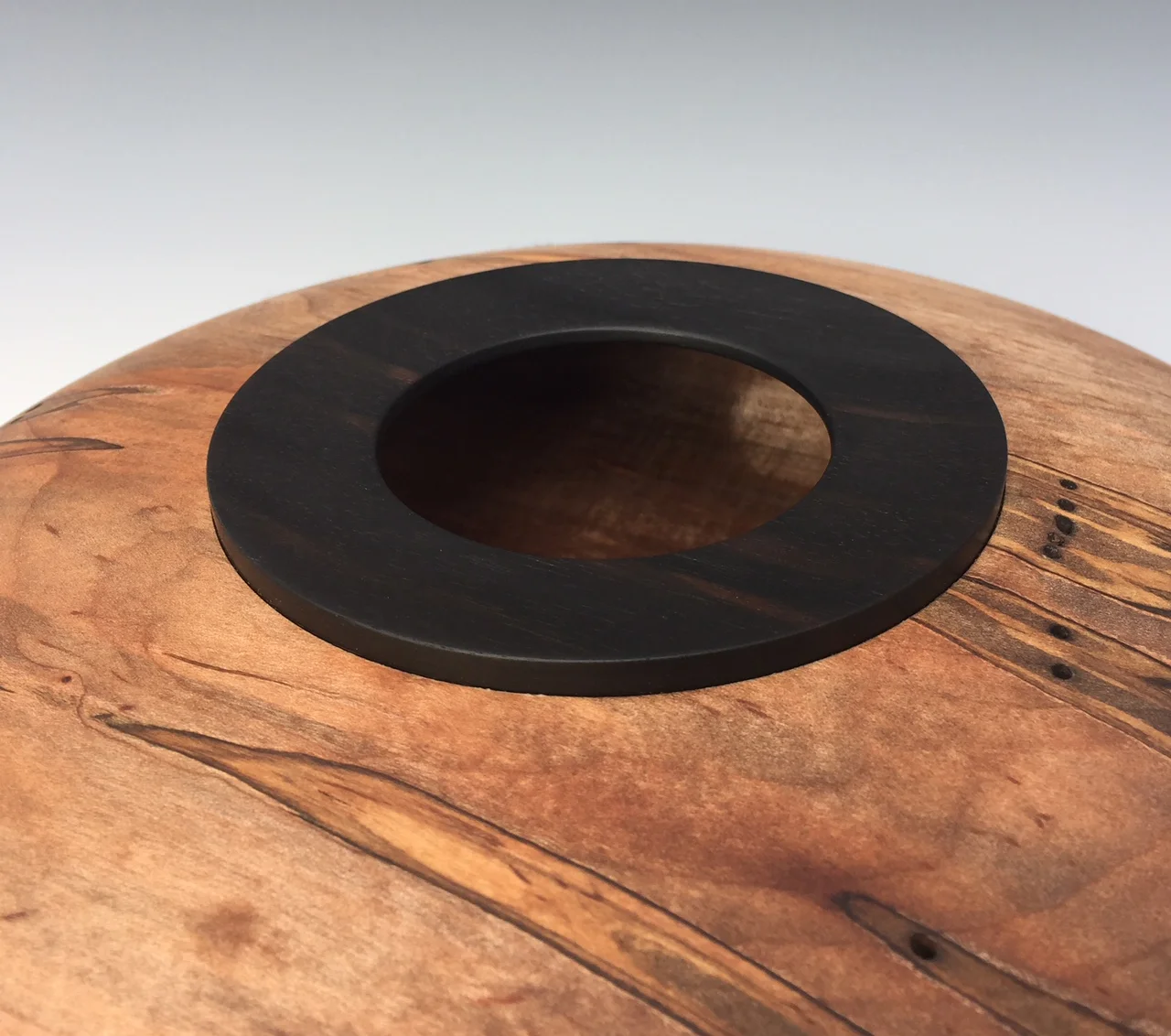 Ambrosia maple hollow form ebony