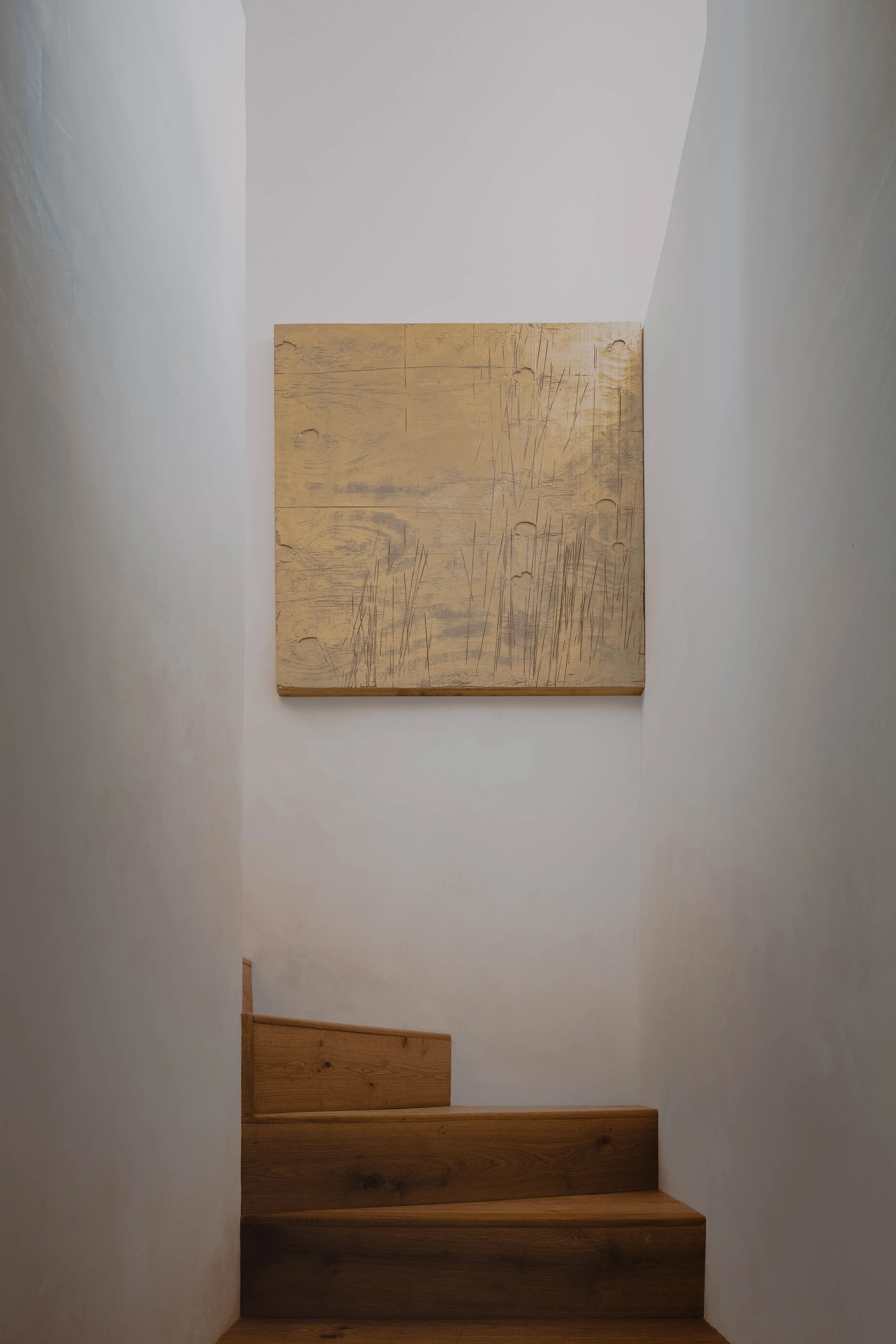 Penumbra y luz natural Casa Escondida, materialidad sin disfraces