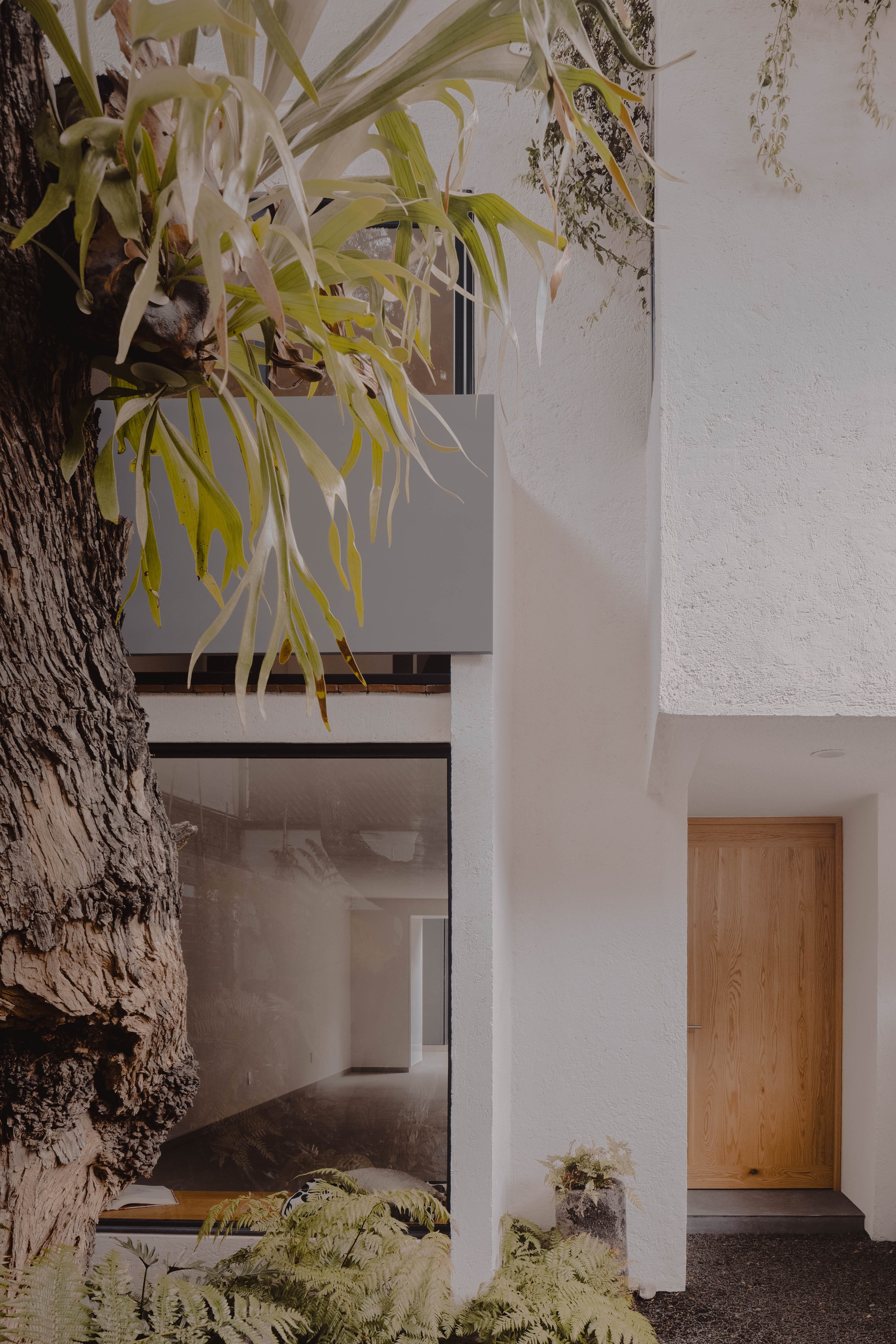 Paisaje Regenerativo y Materiales Nobles