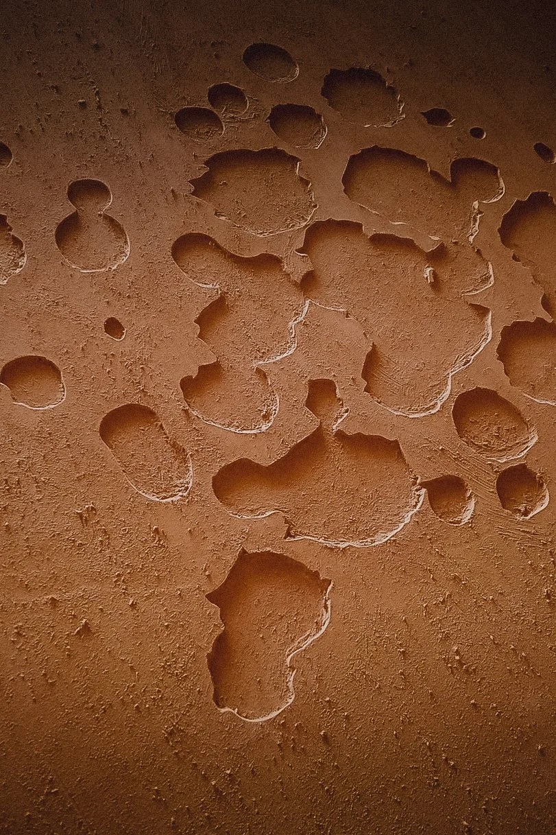 Paneles monumentales de terracota con poemas táctiles esculturales, 68 lenguas indígenas de México