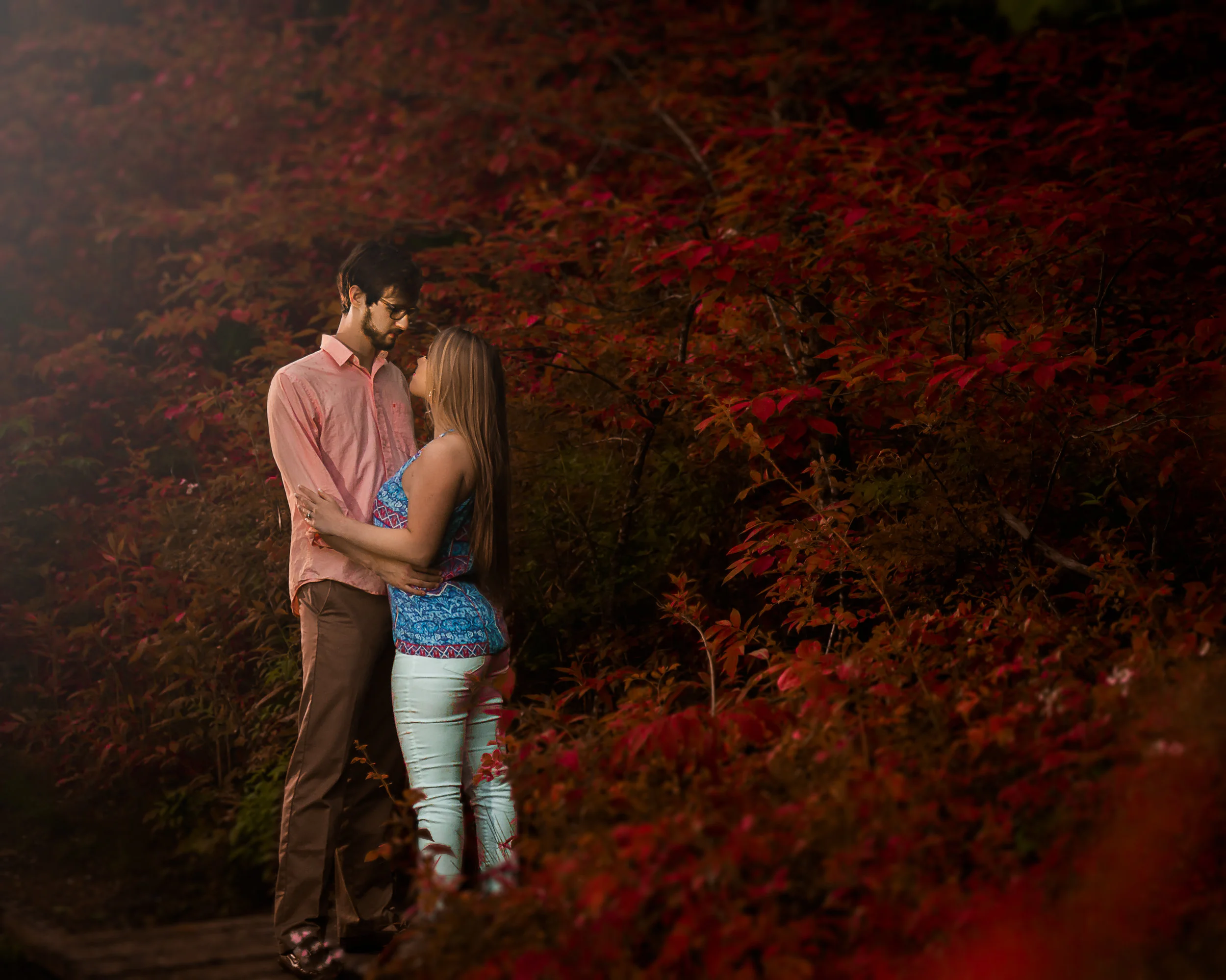 500A0015-Edit-Edit.jpg
